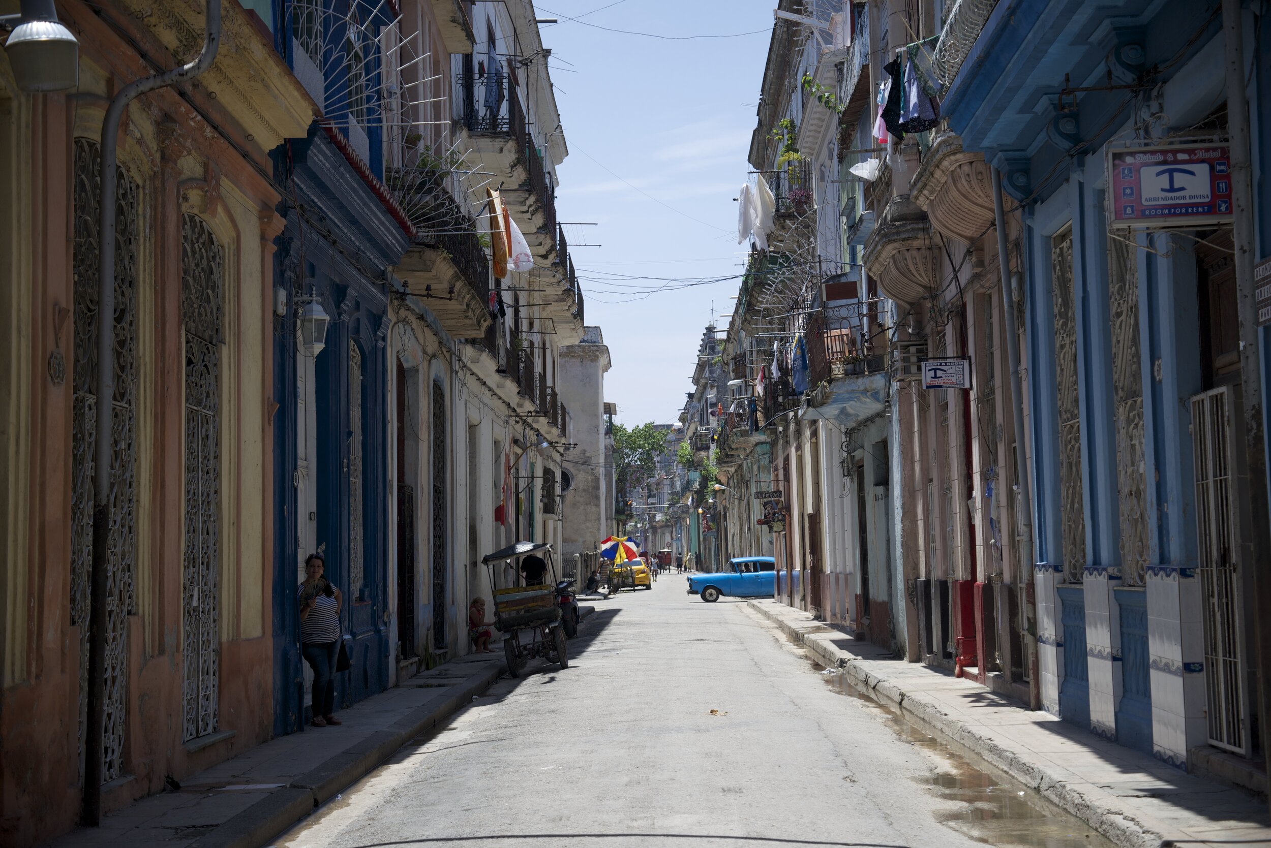 DSC_4395.jpg