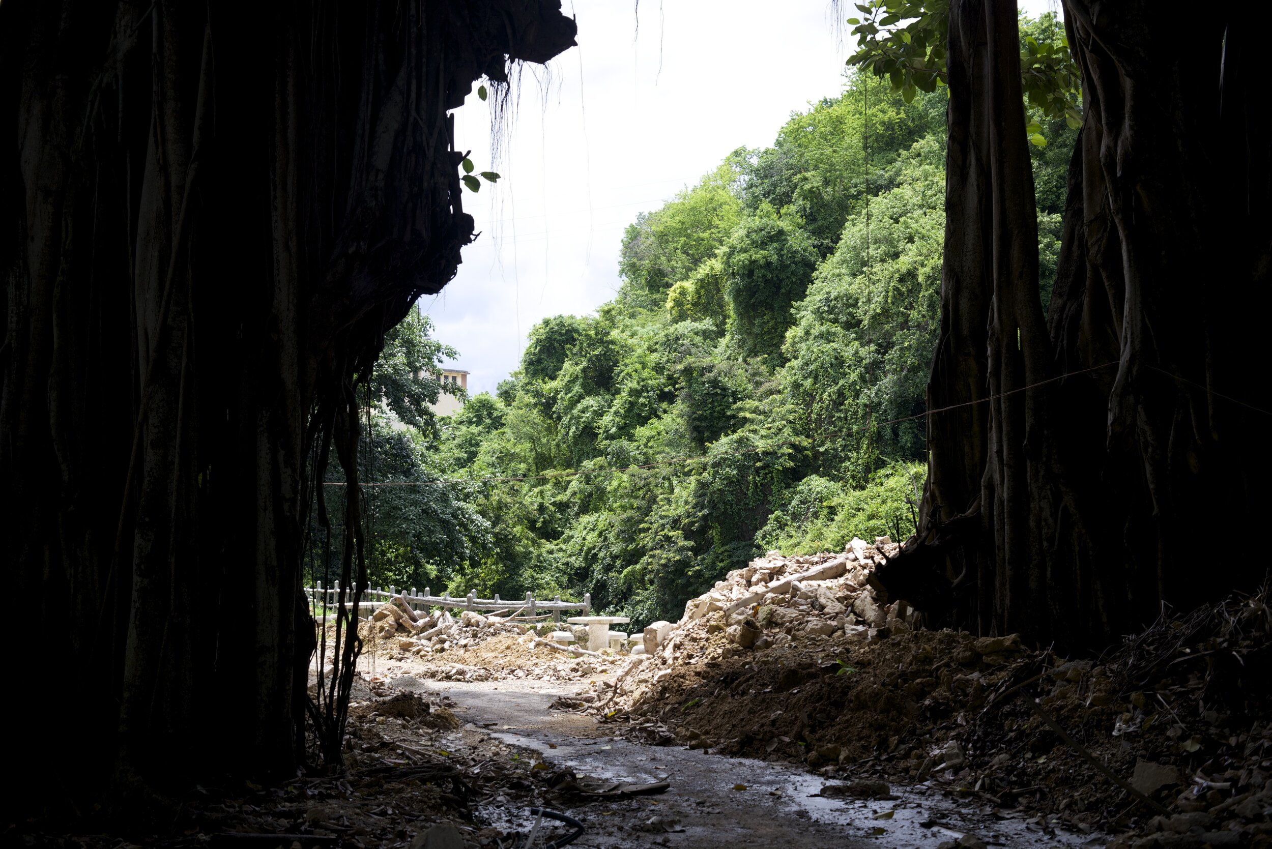 DSC_4273.jpg