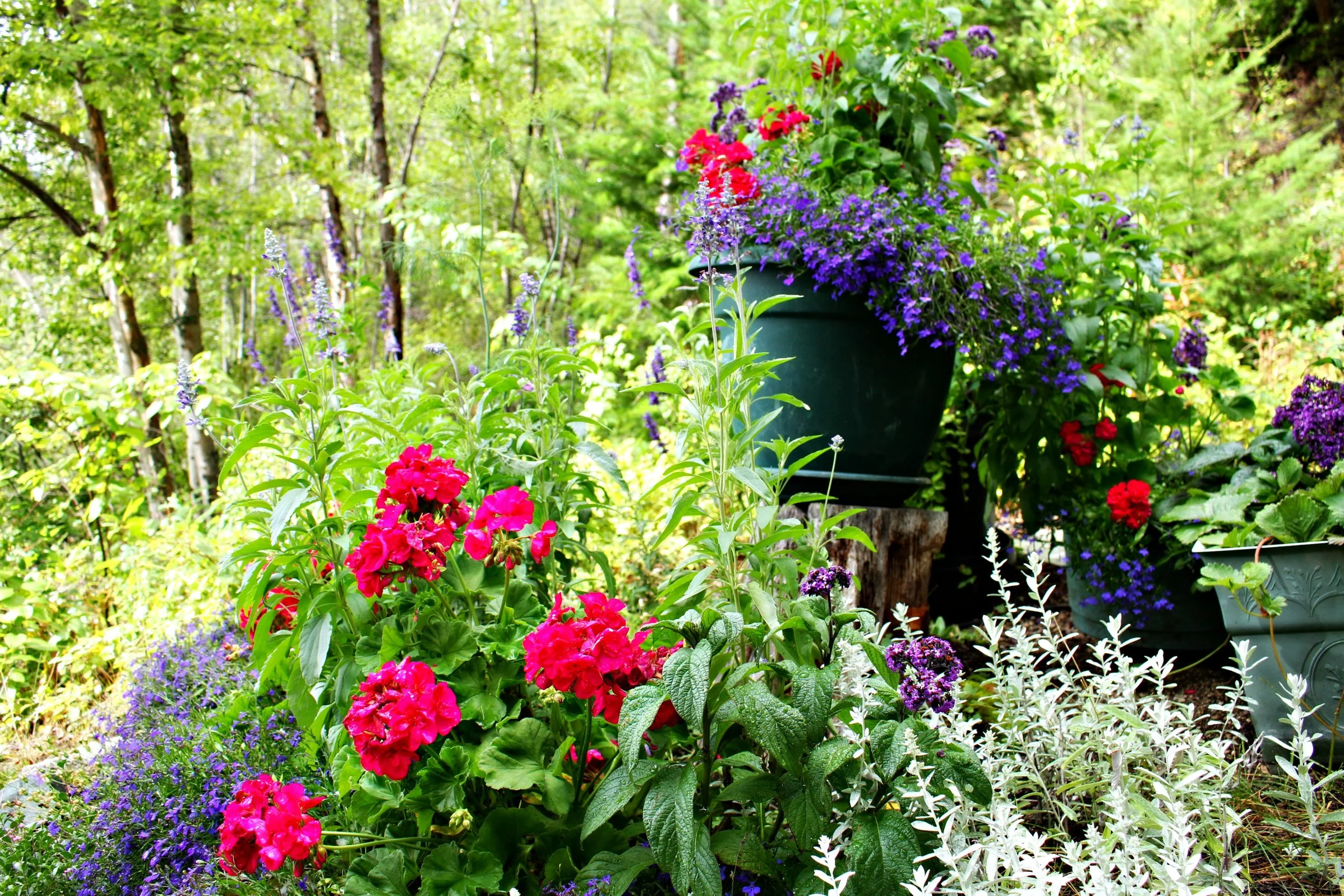 garden close.jpg