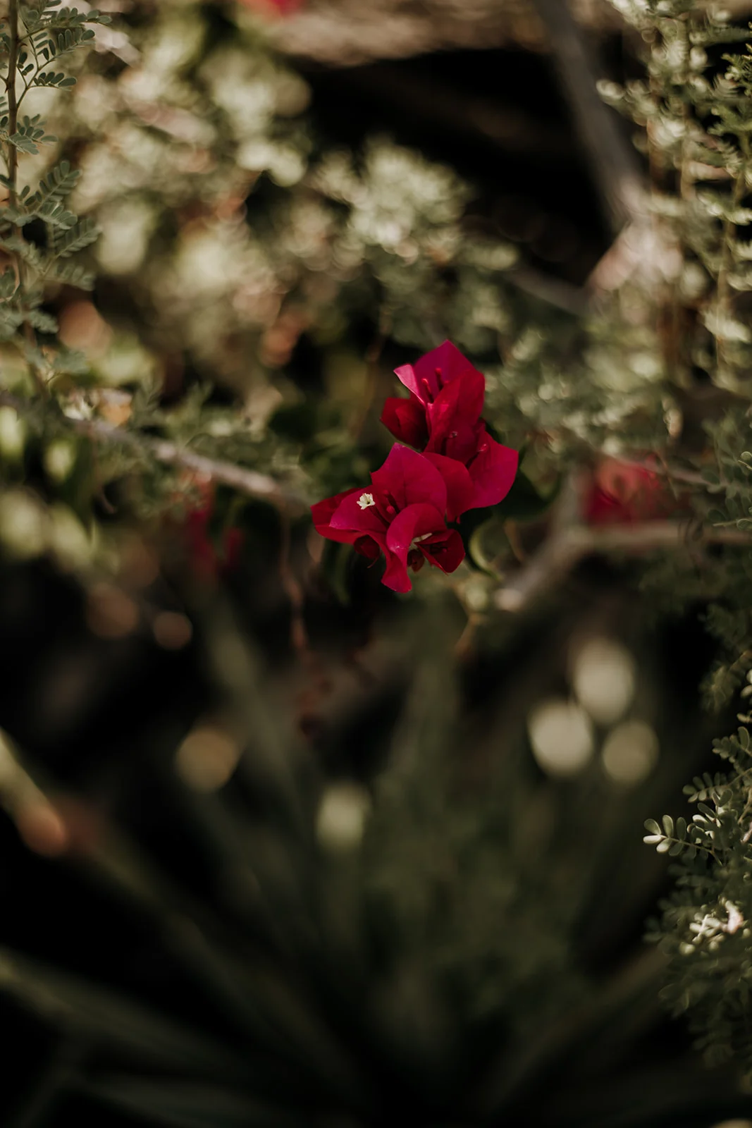 20190901-DSC_3128.jpg