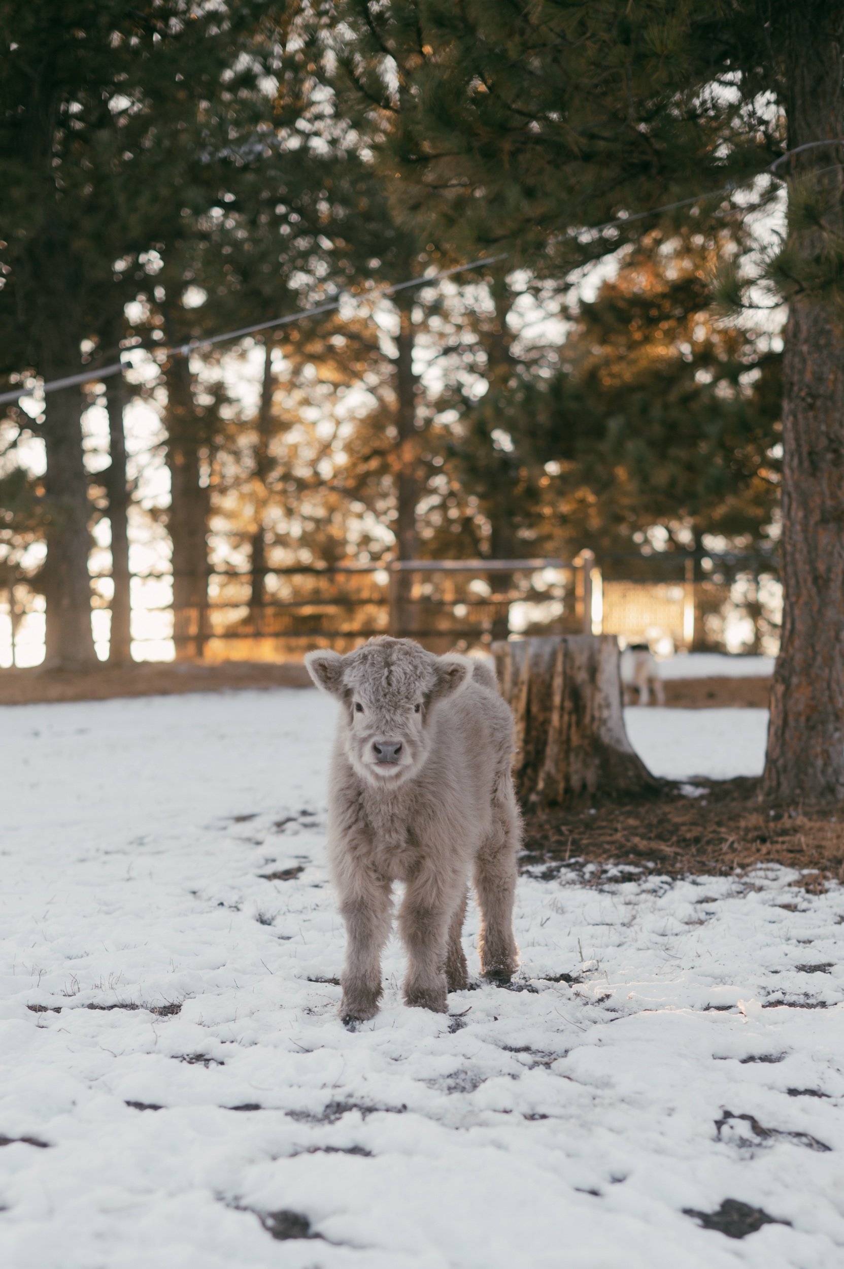 _dsc7760.jpeg