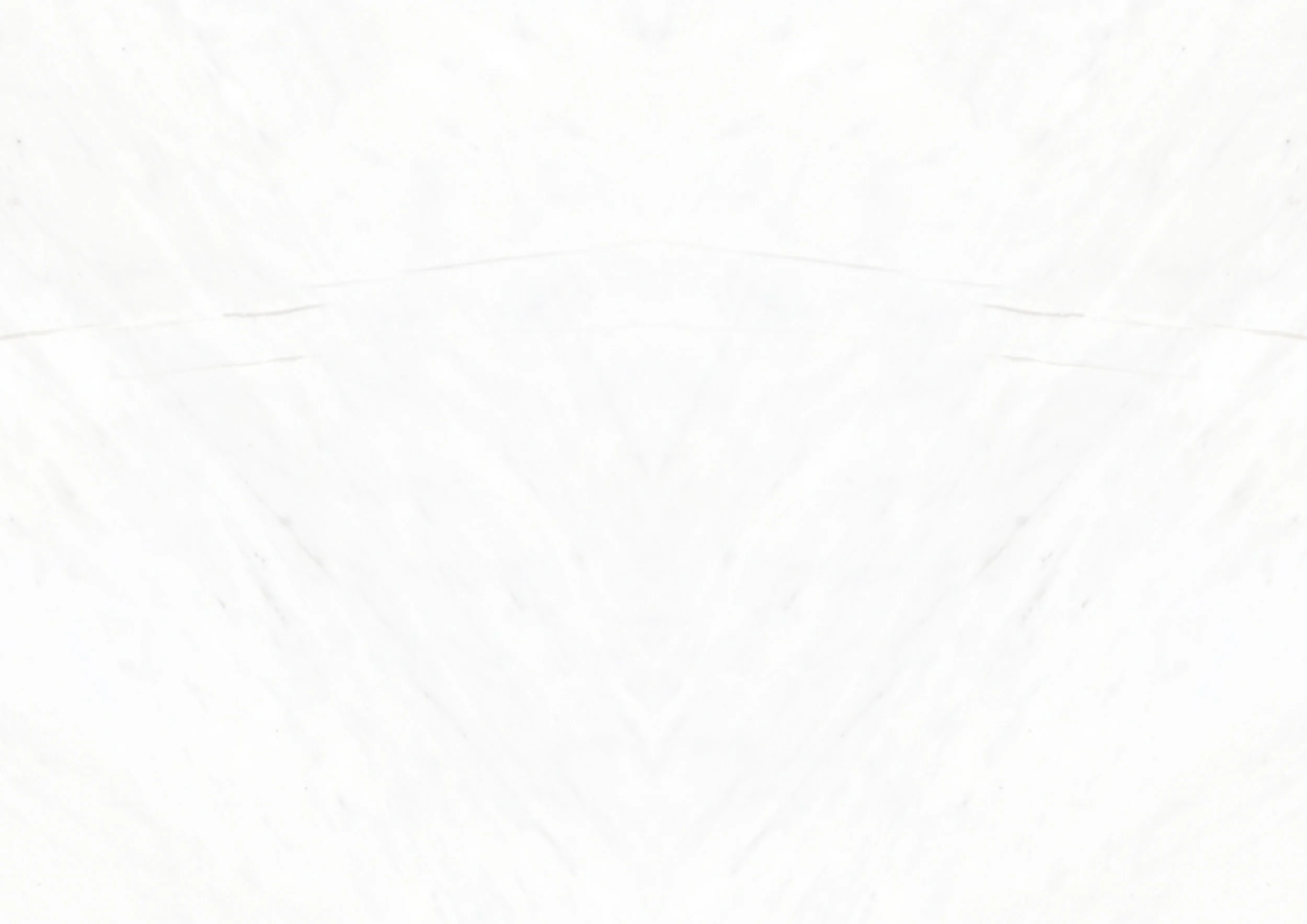 whiteSalon.jpg