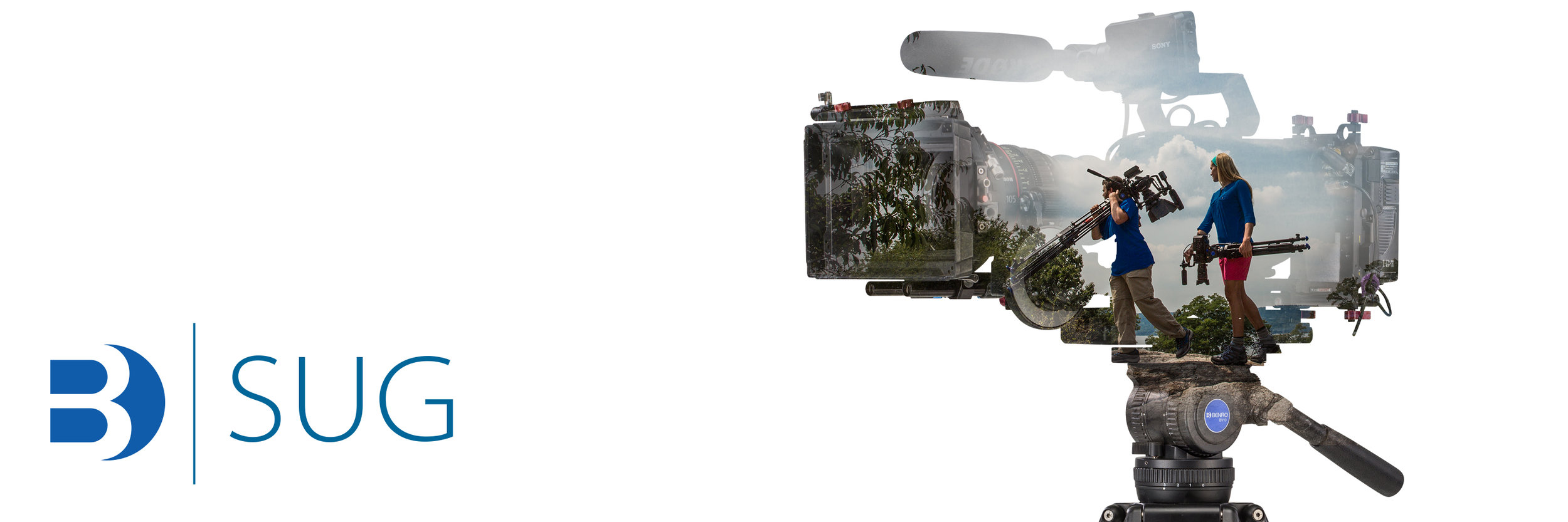 B_SUG+BV10.jpg