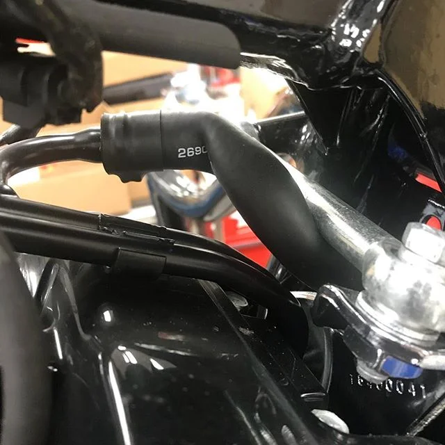A1 cycles