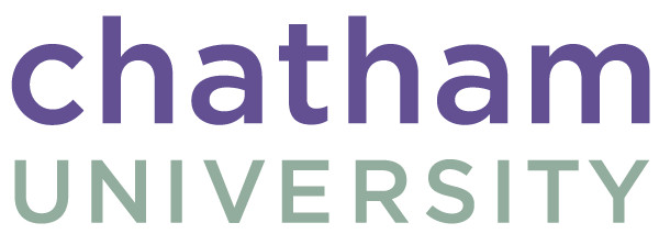 Chatham Music And Arts Day Camp Chatham University Summer Camps