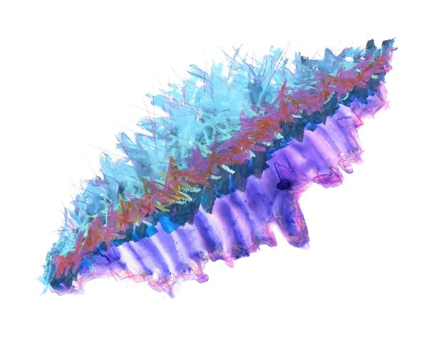 Color Pod II opt.JPG