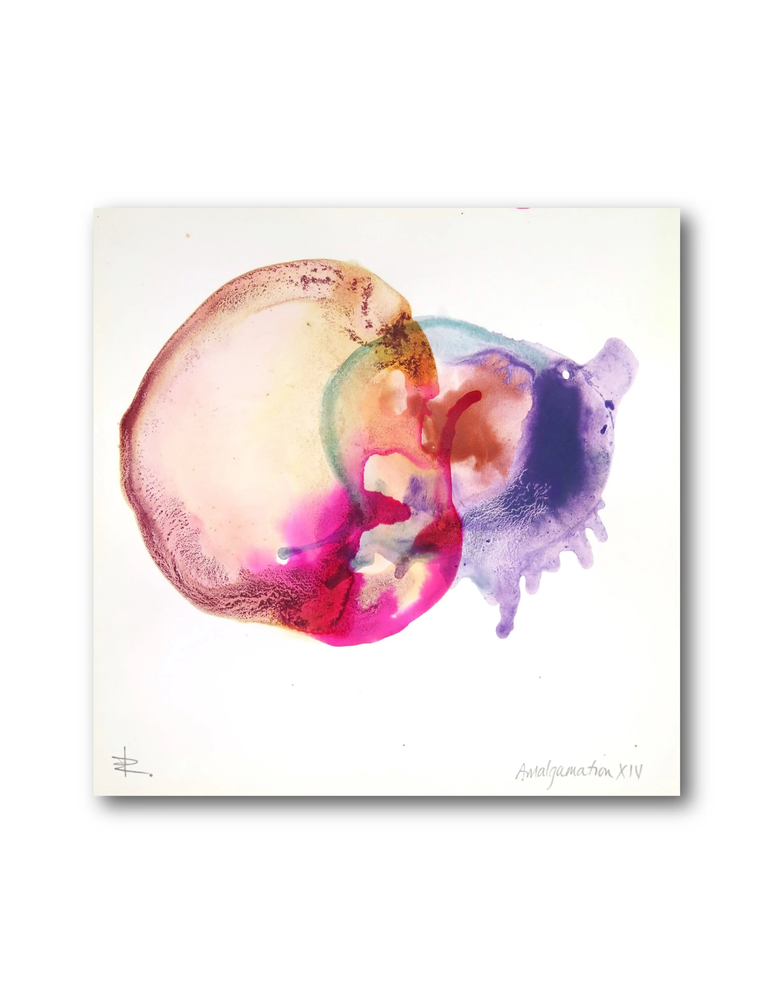 Amalgamation XIV