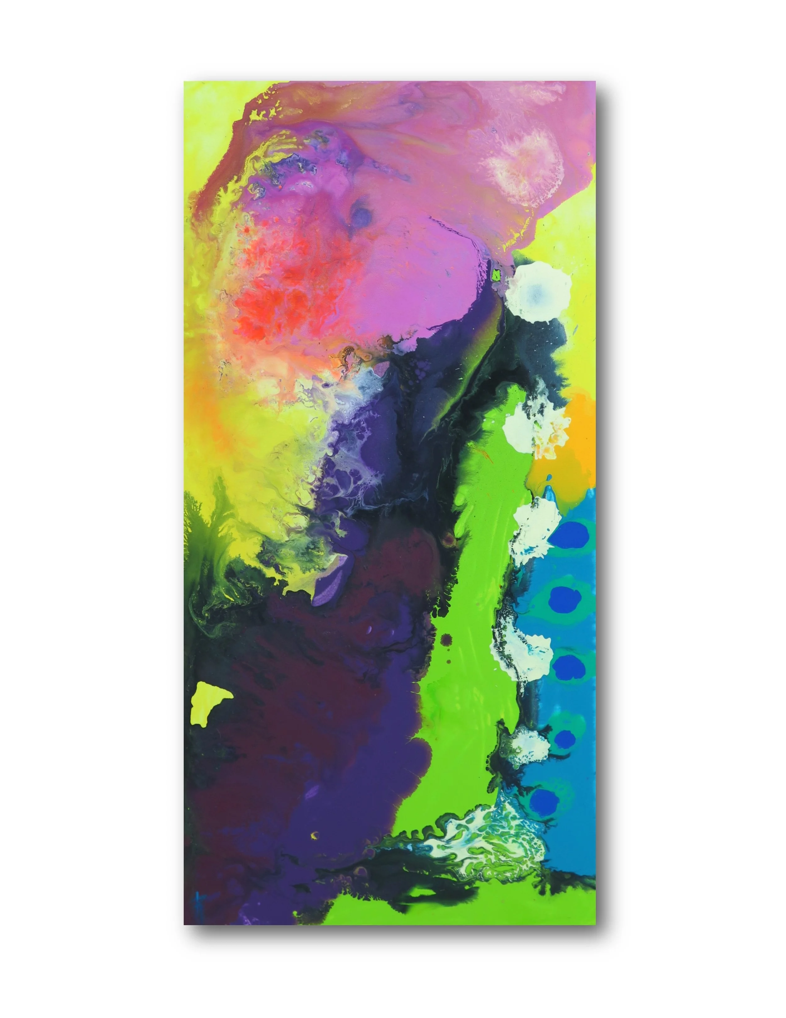 Amalgamation V  24x48