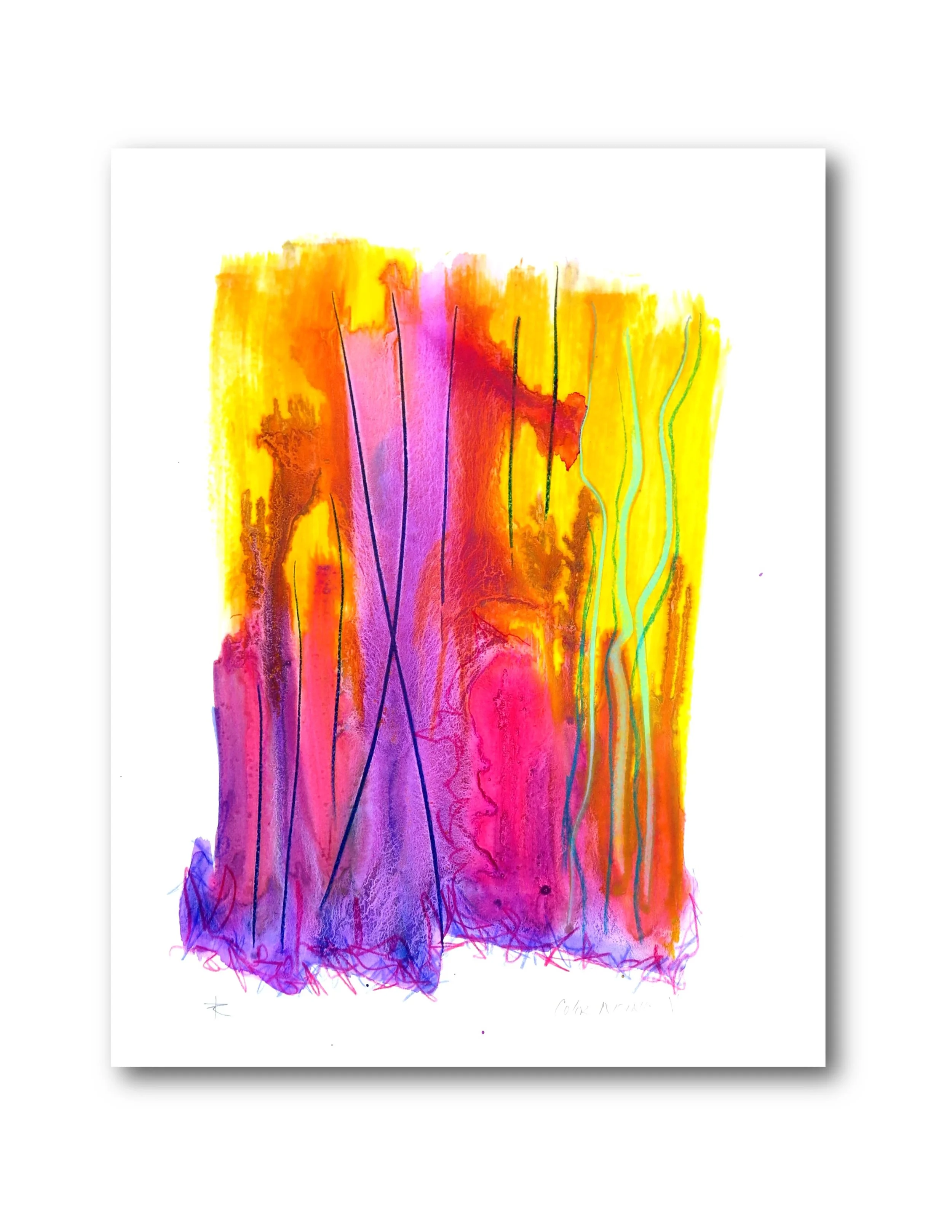 Color Rising 5 ss.jpg