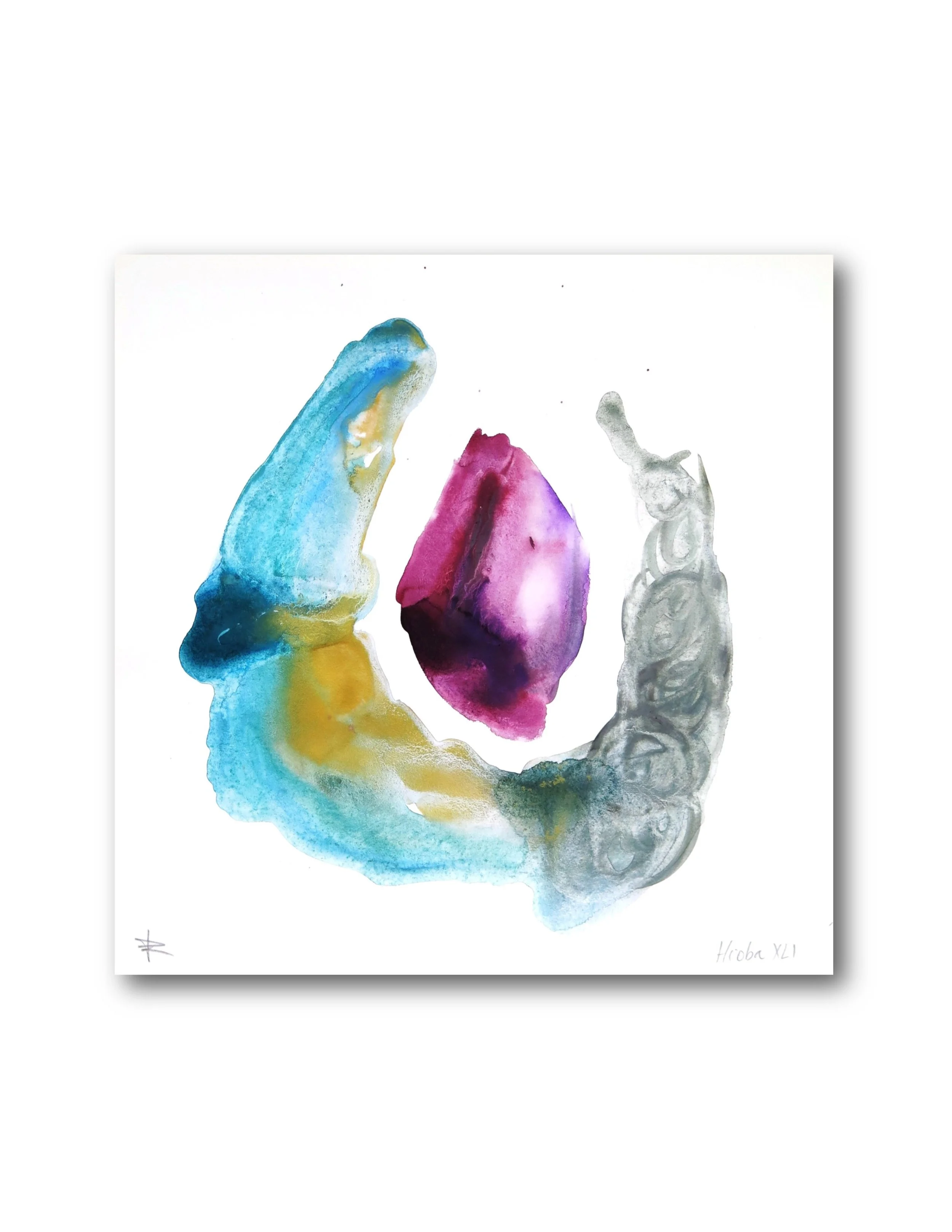 Hooba XLI