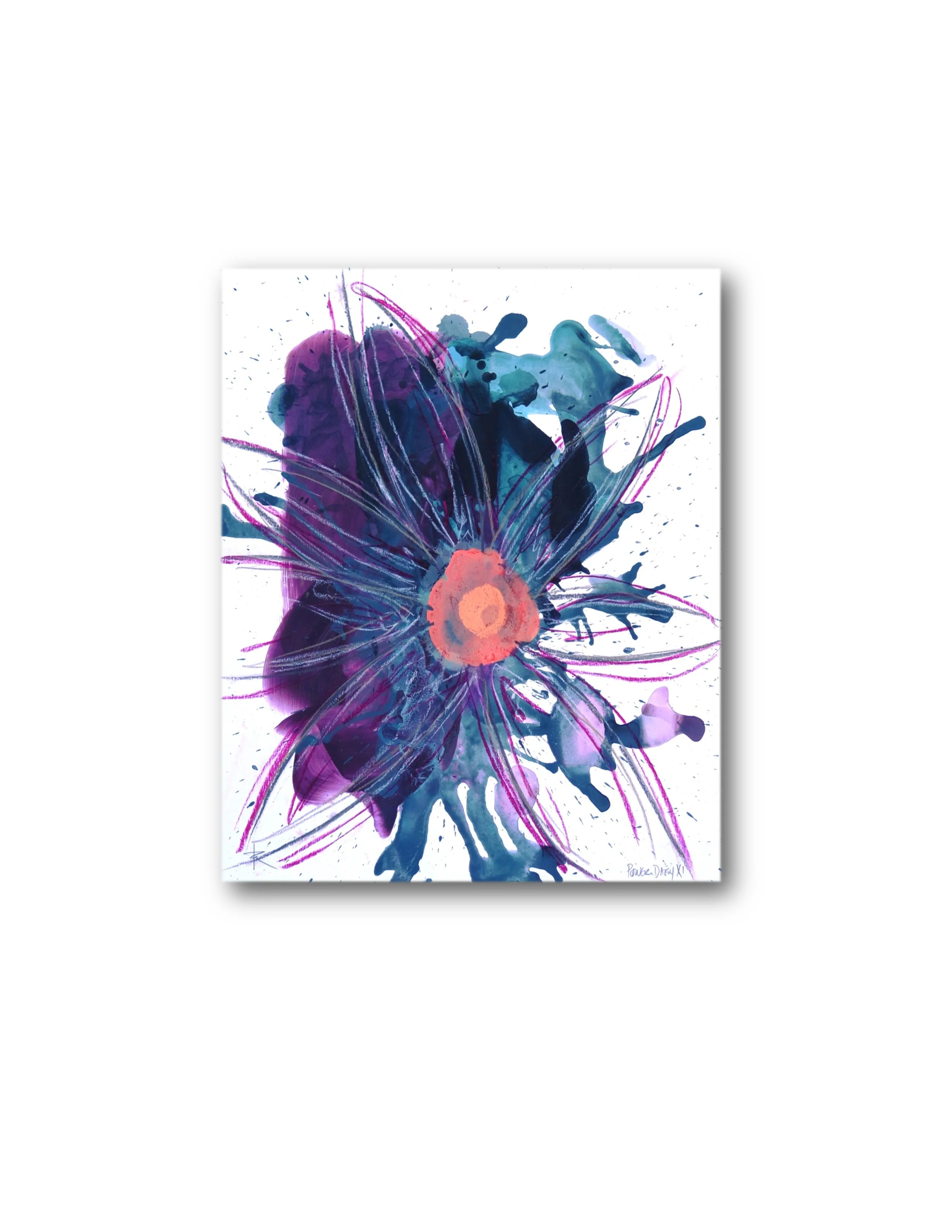 Power Daisy 11 XI ss.jpg