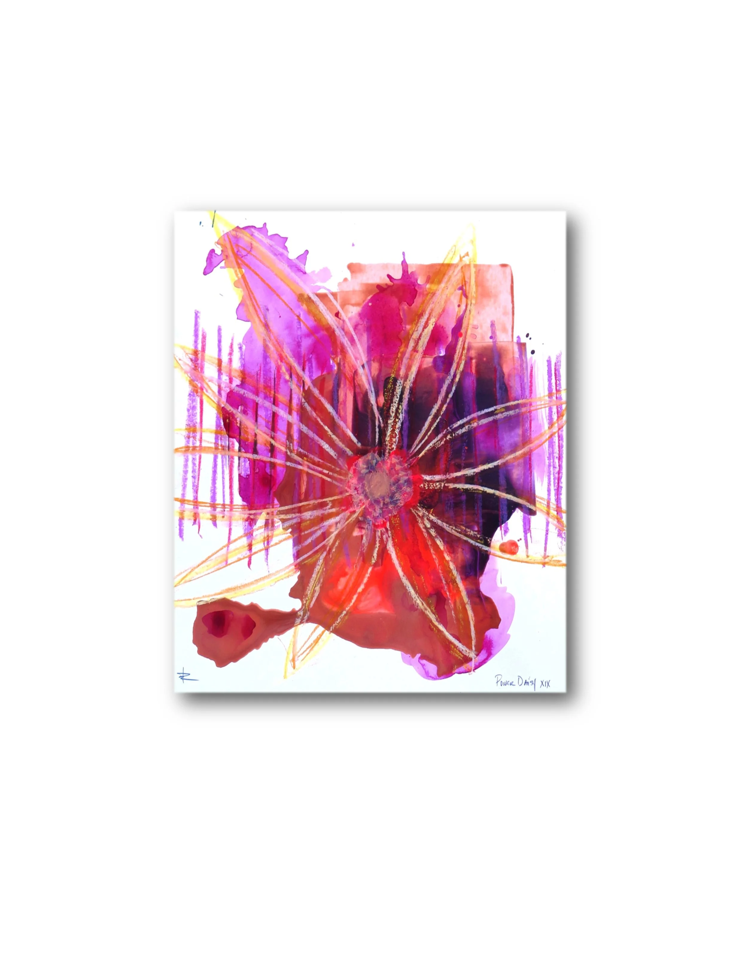 Power Daisy 19 XIX ss.jpg