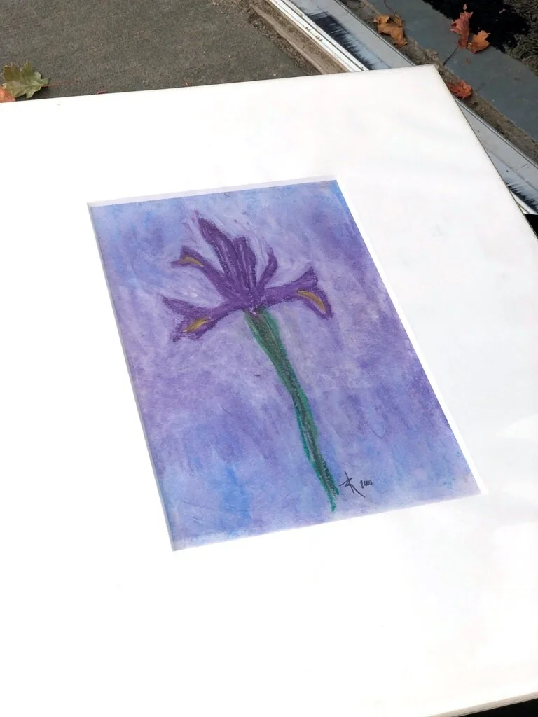 Pastel-Iris Matted ss.JPG