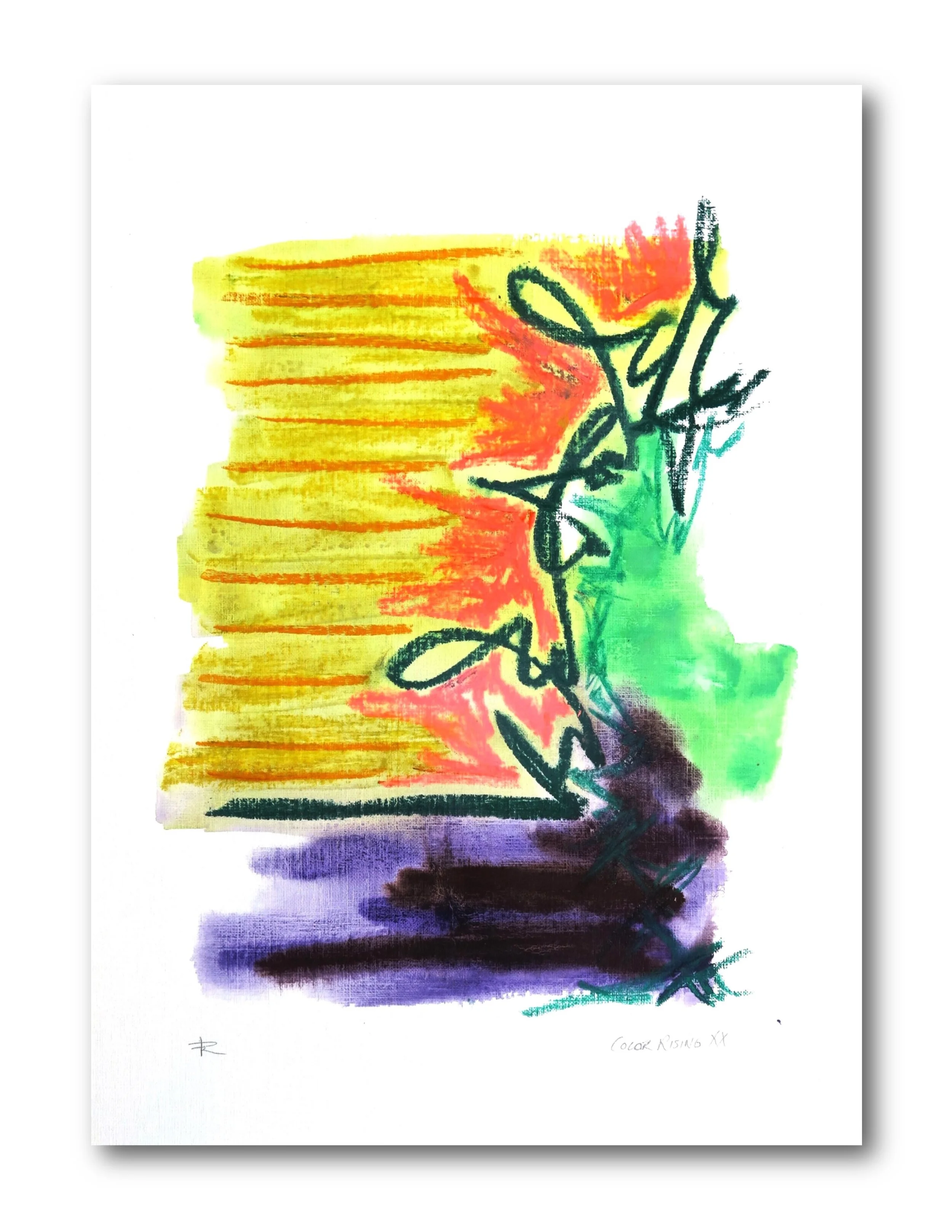 Color Rising 20 ss.jpg