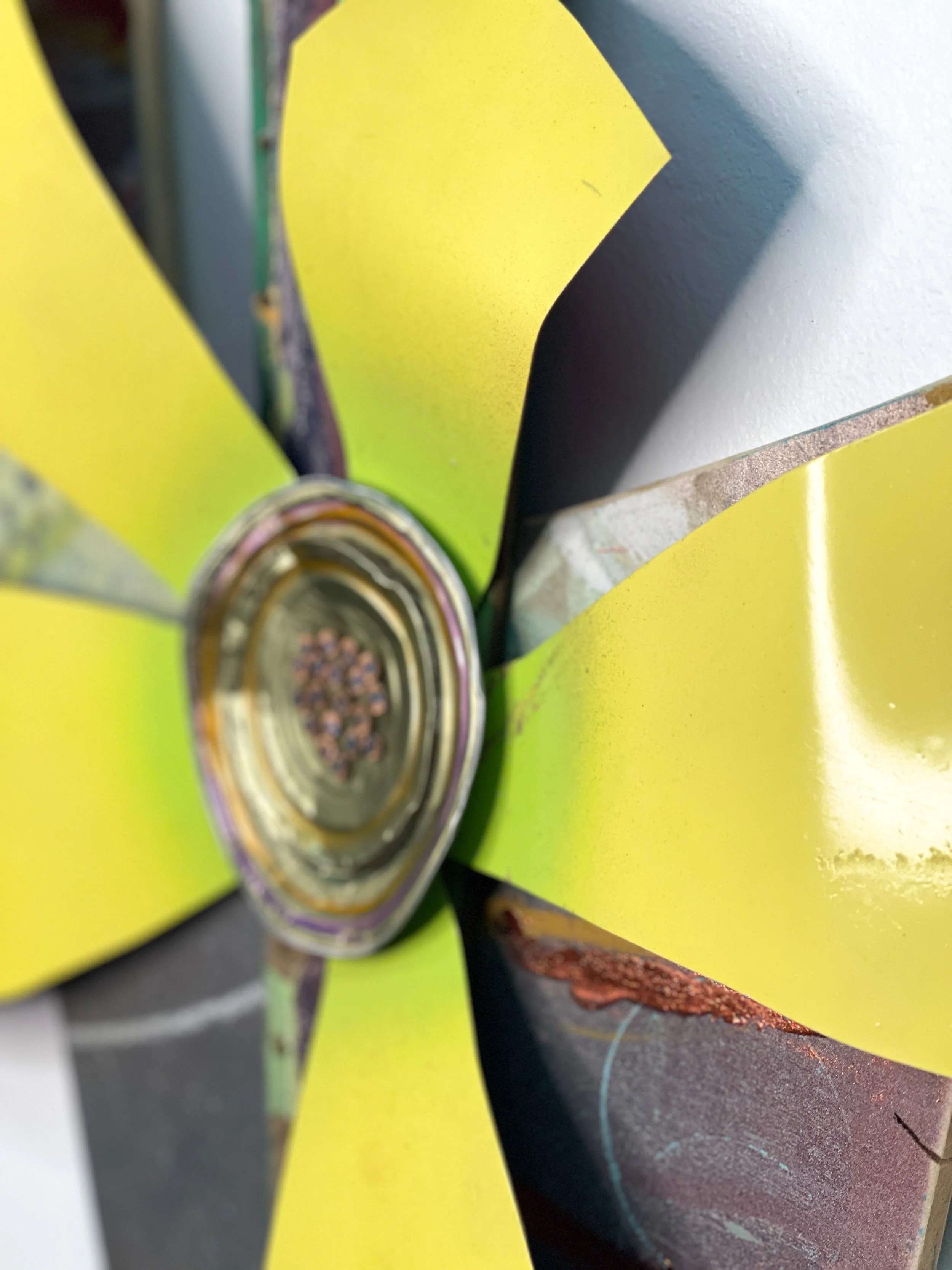 Urban Bloom Detail (3).jpg