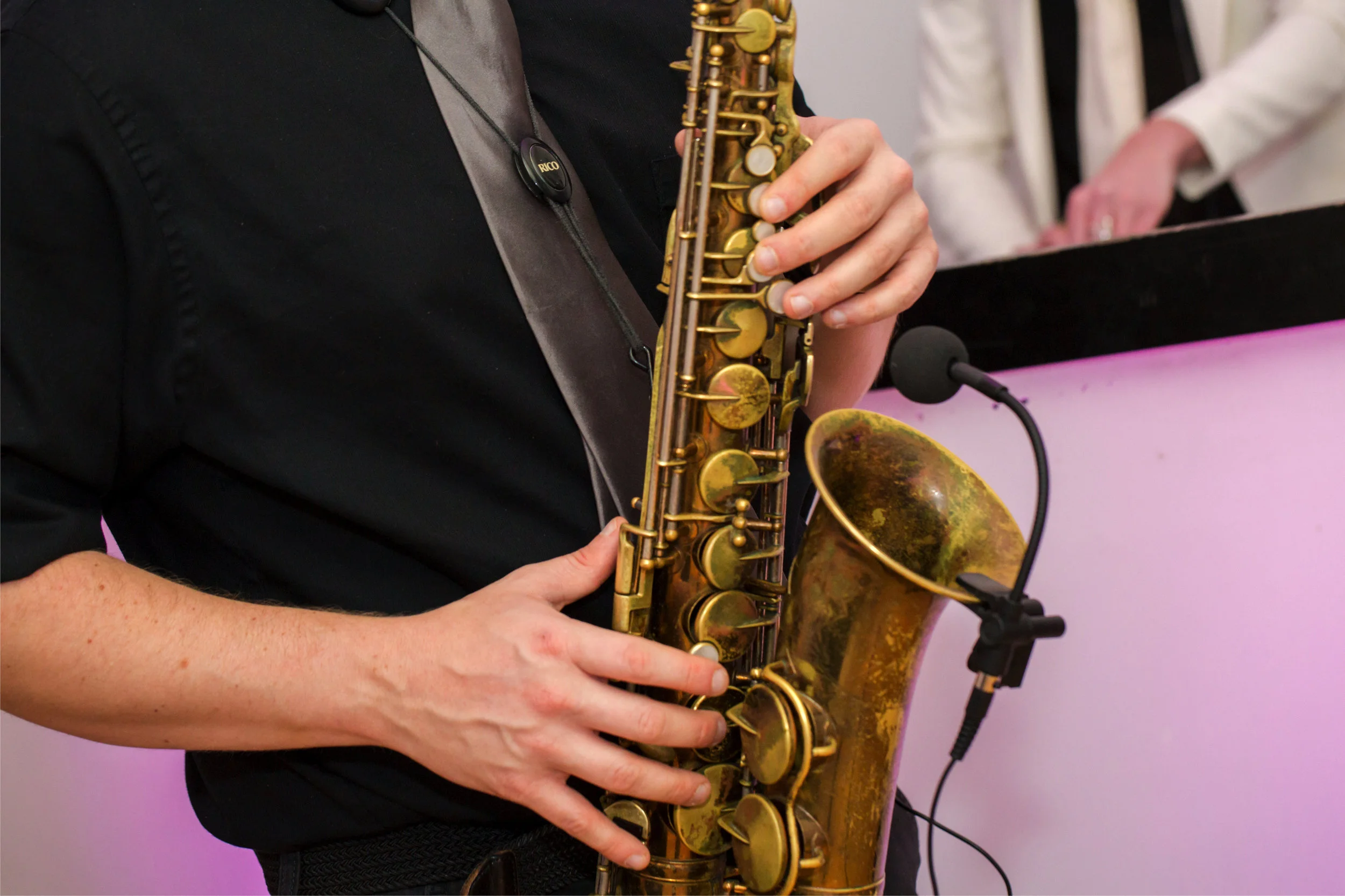 Live Musicians