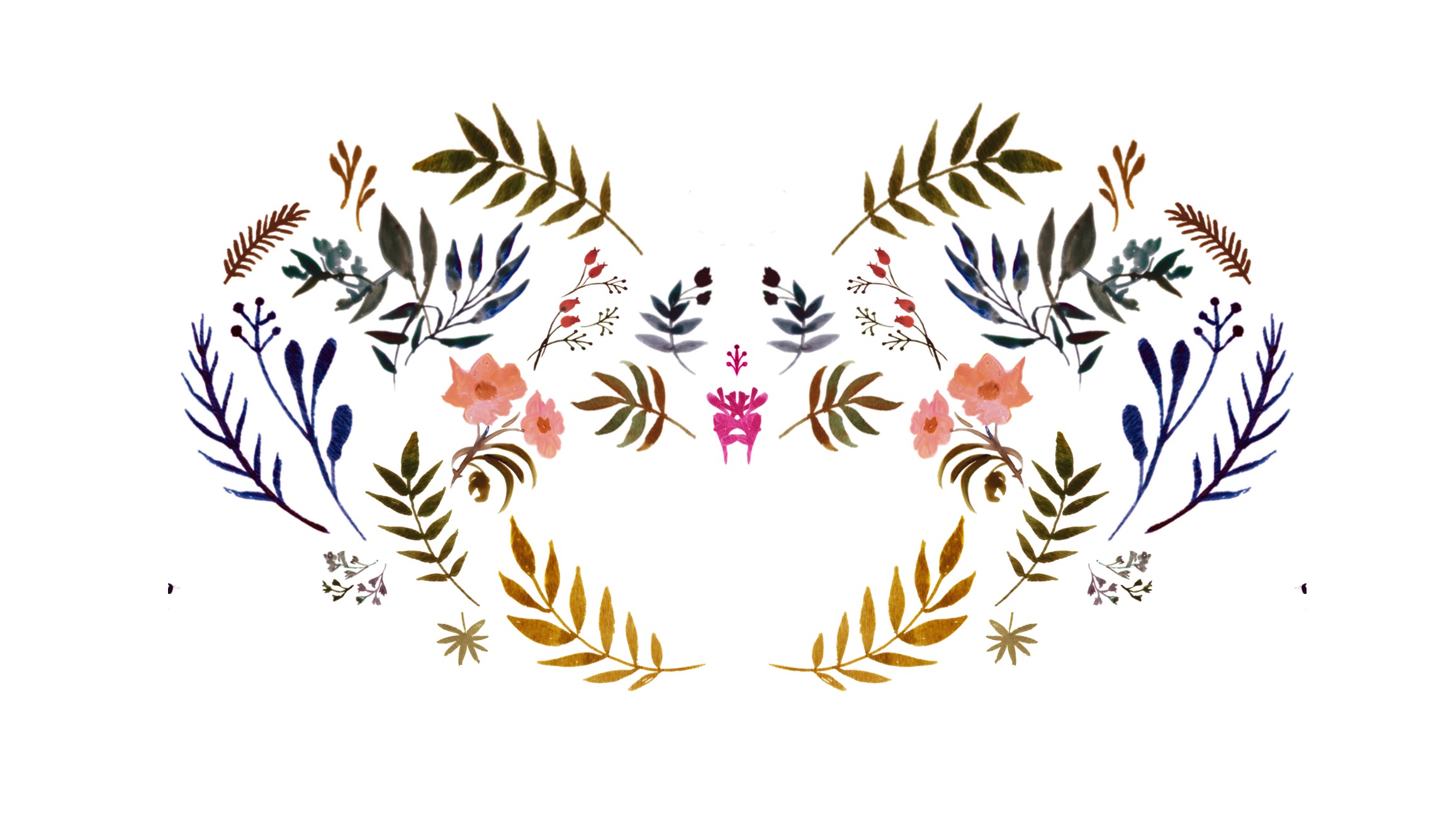 Botanical Pelvis 6d-revsied-4a.jpg