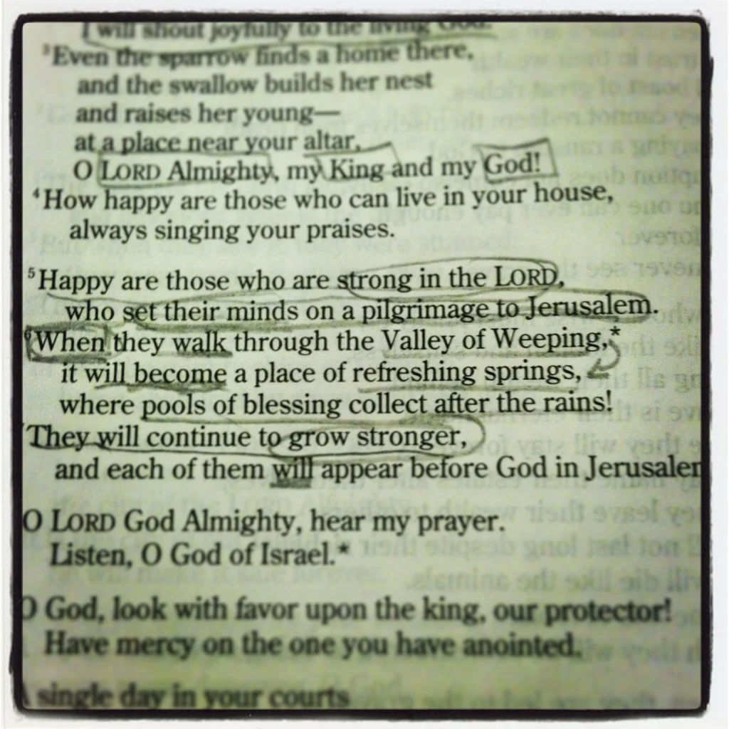 Psalm 84:5-7 (New Living Translation)