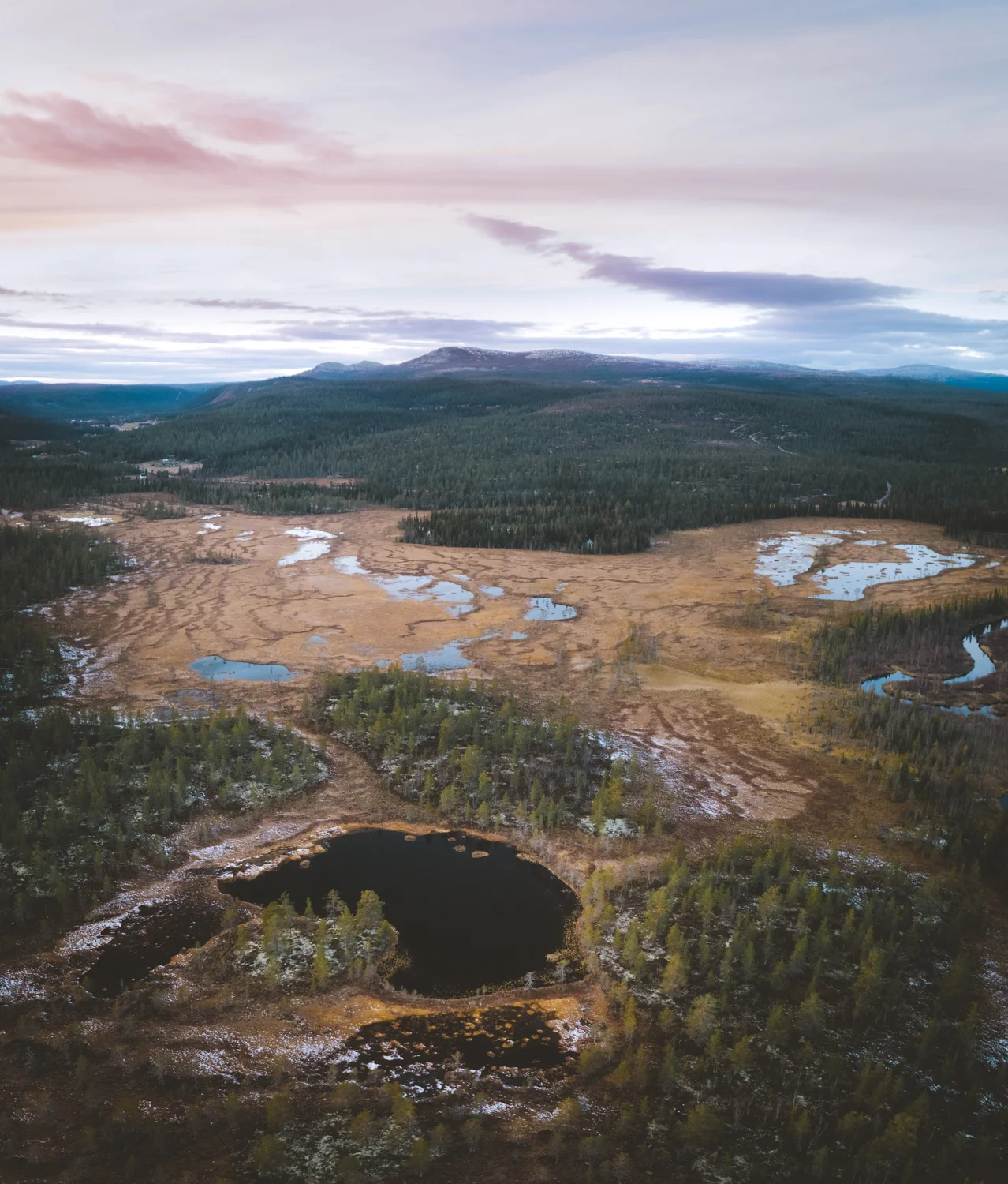 Landskap2-1.jpg