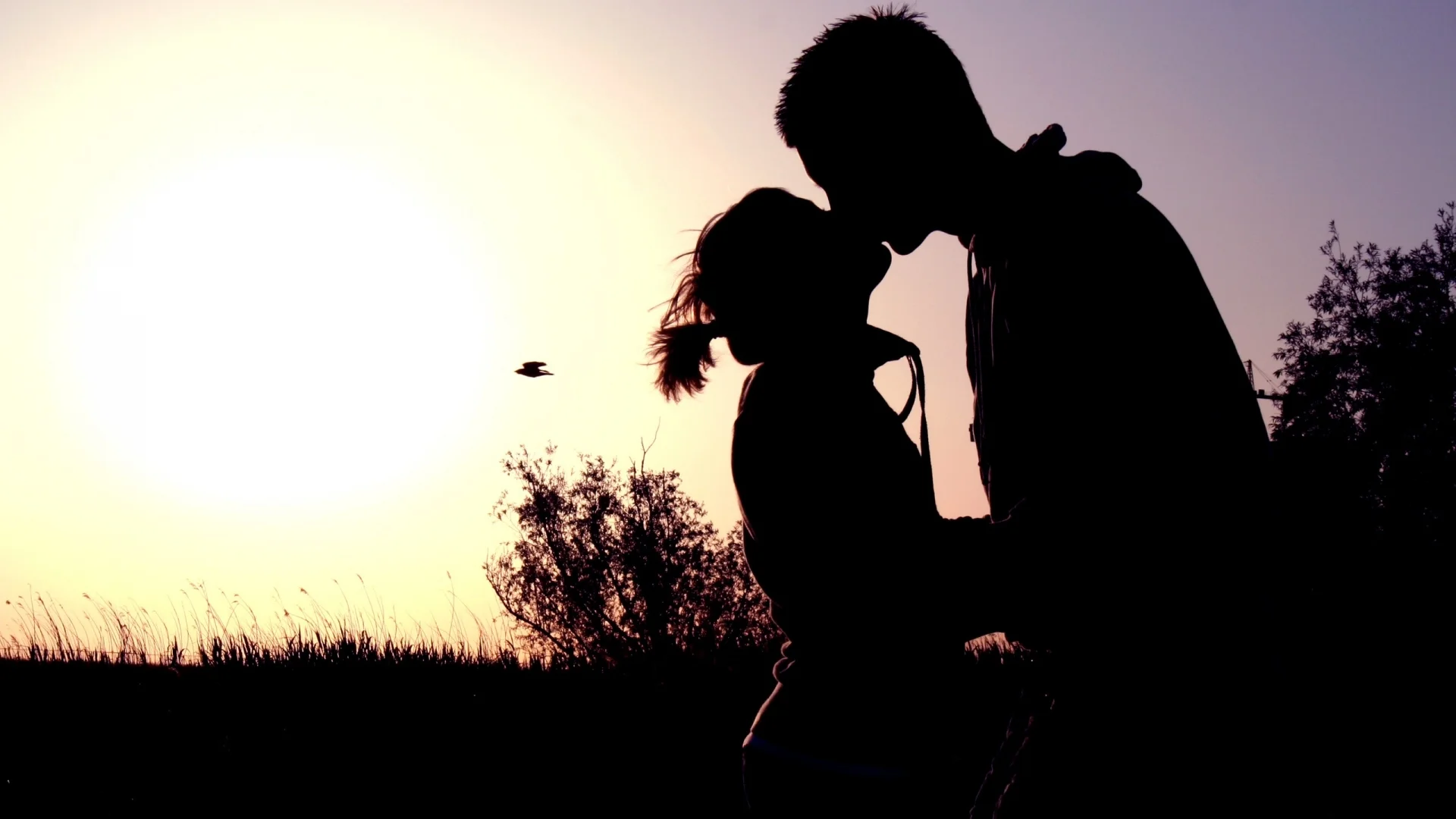 couple-shadow-sunset-kissing-40475752.jpg