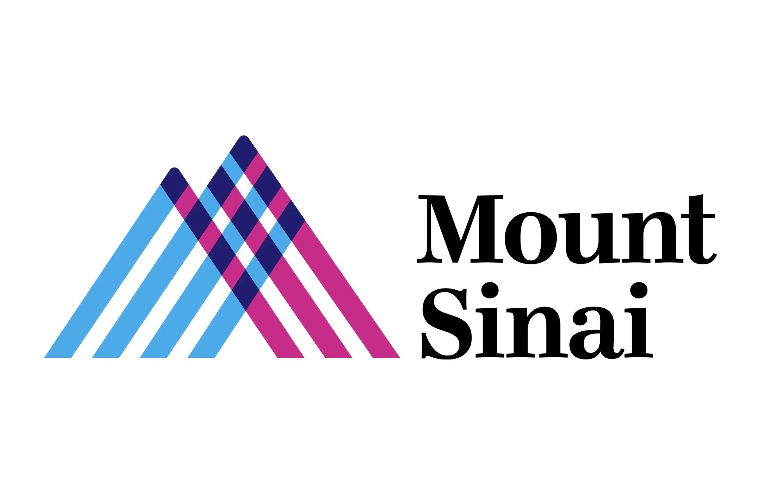  Mount Sinai Adolescent Health Center  Sarah Wood    Sunita Koshi  Retired Financial Services Executive 