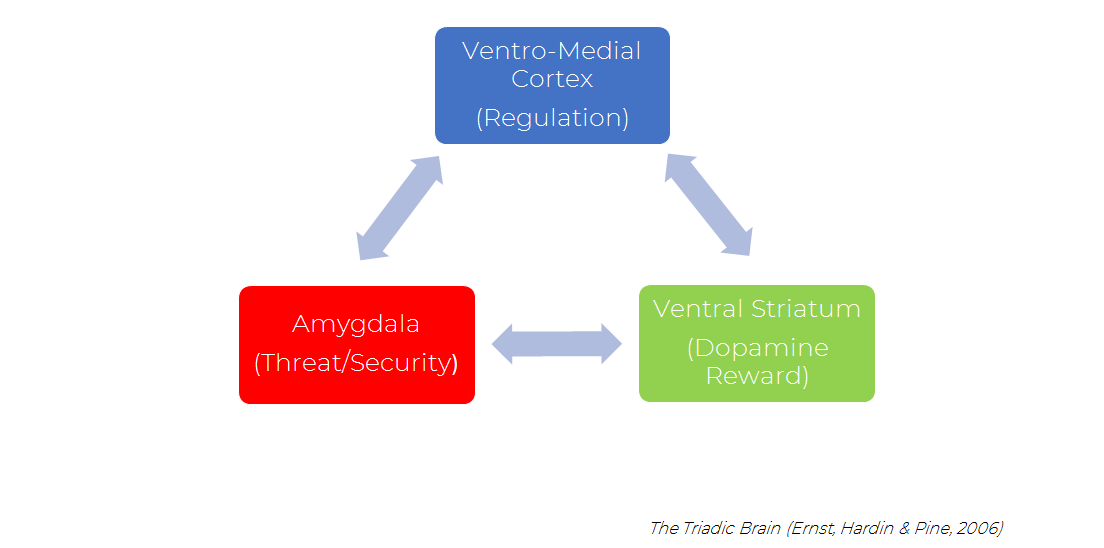 Triadic Brain.png