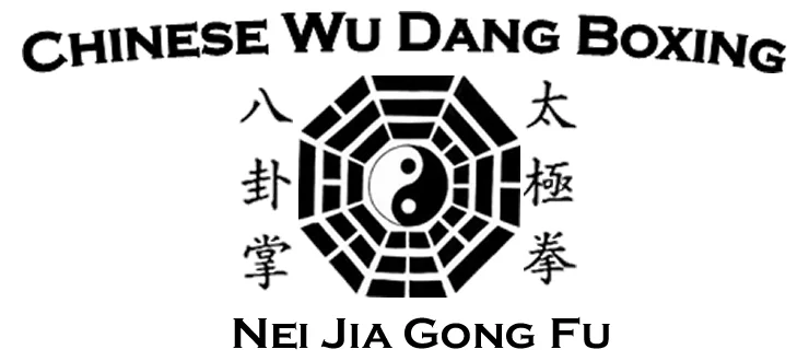 Chinese Wu Dang Boxing