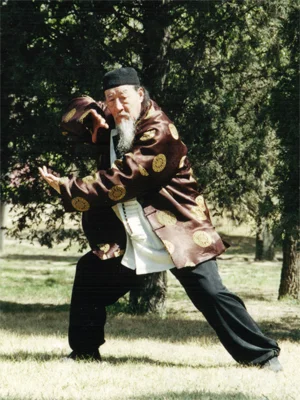 Master Duan Zhi Liang