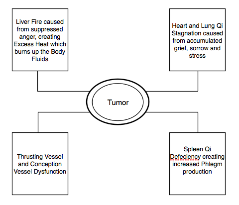 Figure 1.13. Etiology of an Emotionally Induced, Chronic, Benign Breast Tumor Formation