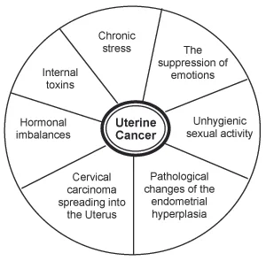 Figure 18. Uterine Cancer Etiological Factors