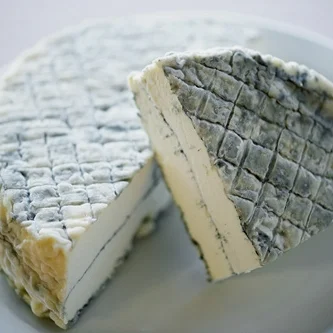 LocalSlice_111.jpg