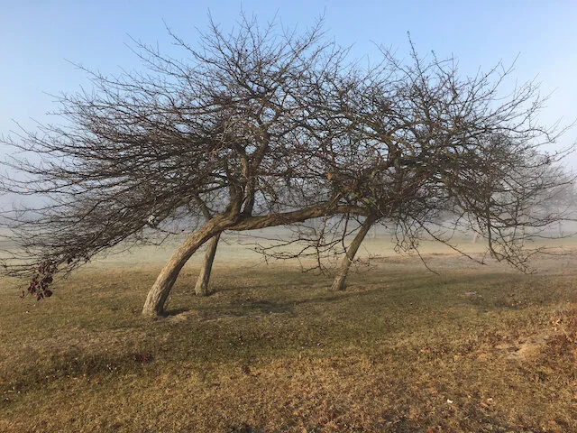 What The World Needs Now