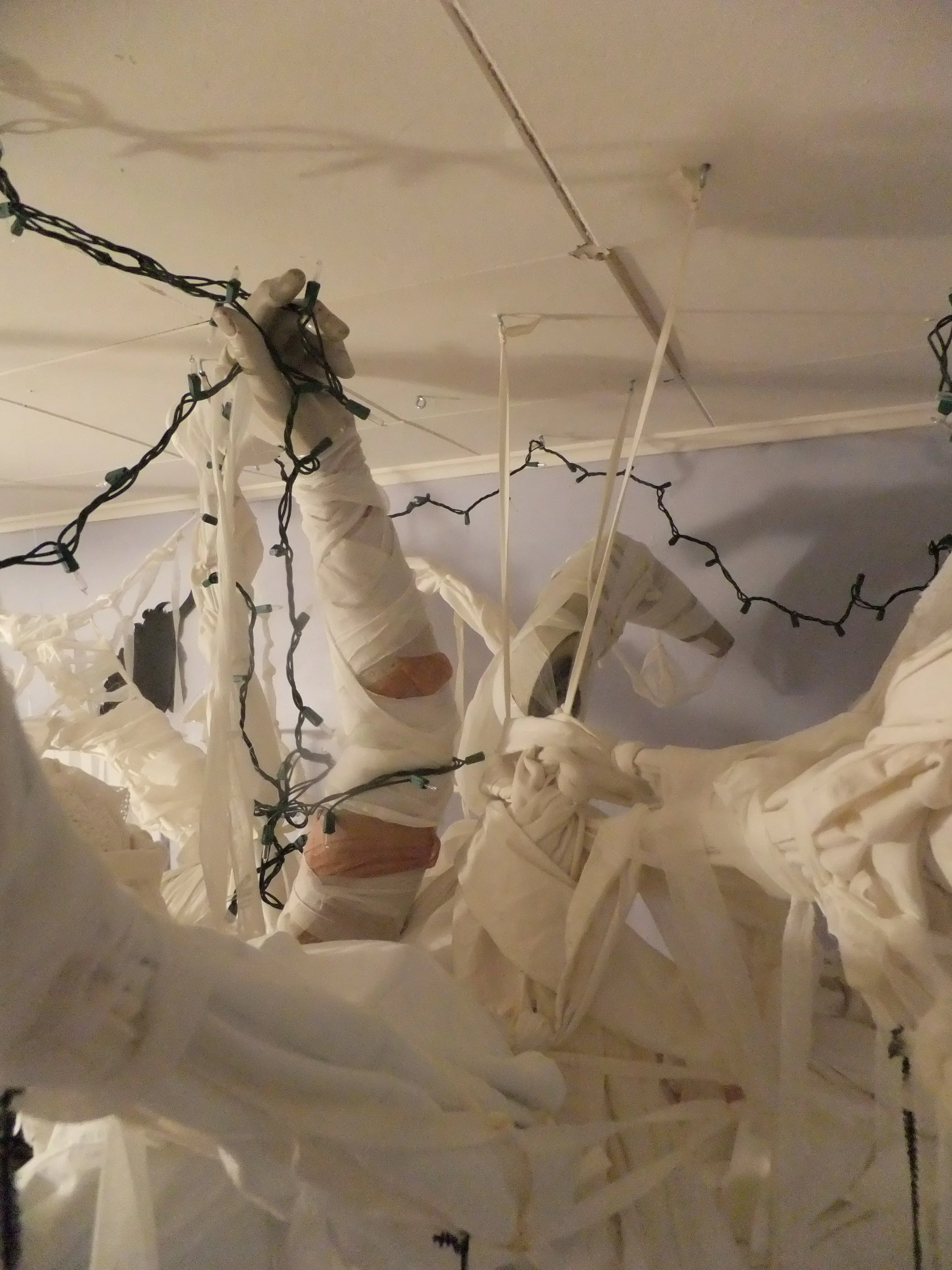 DSCF2569.JPG