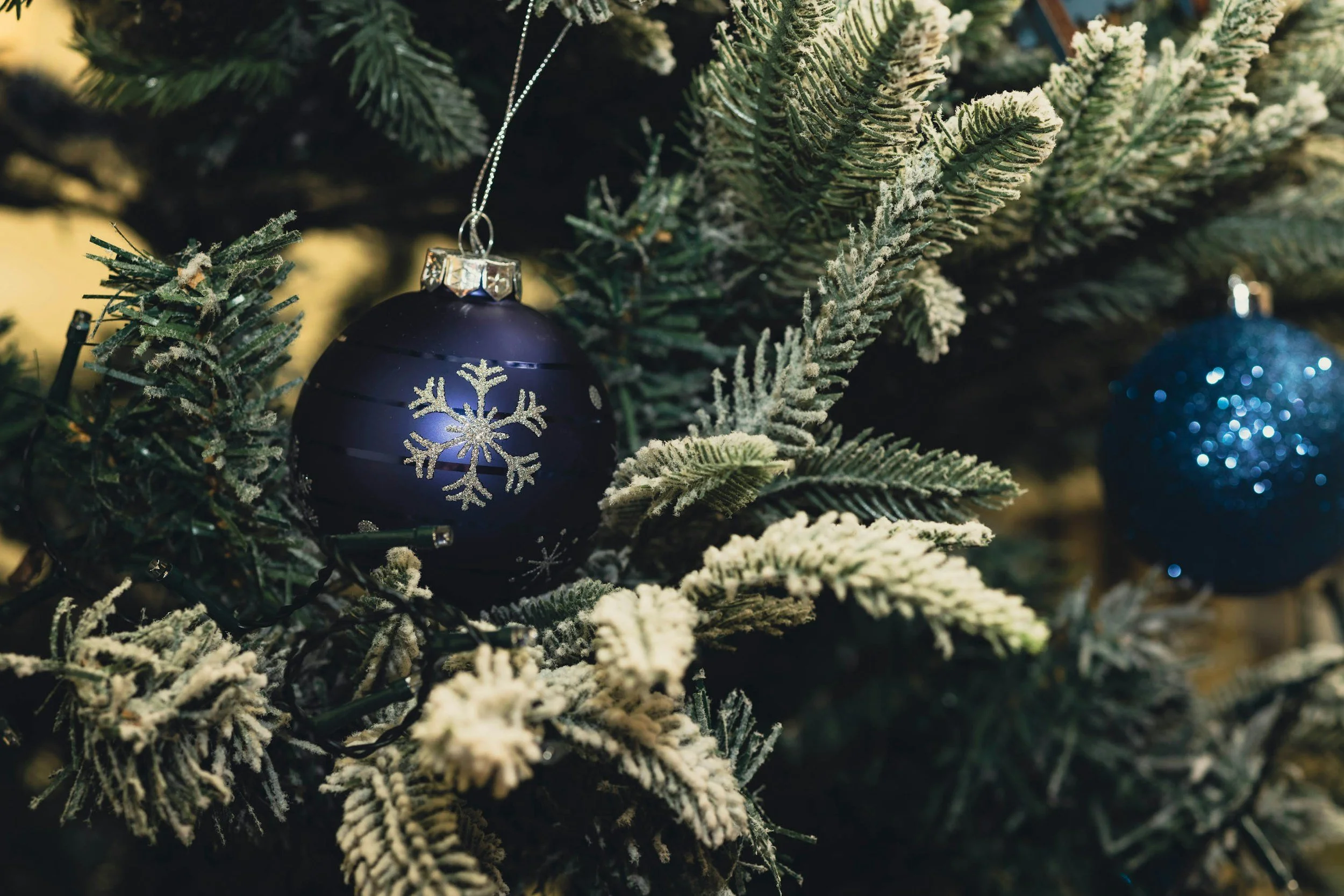 Getting Through the Holidays: A Pep Talk for Food, Body, and Family Struggles