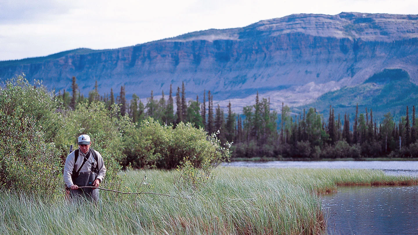 boreal-science-1.jpg