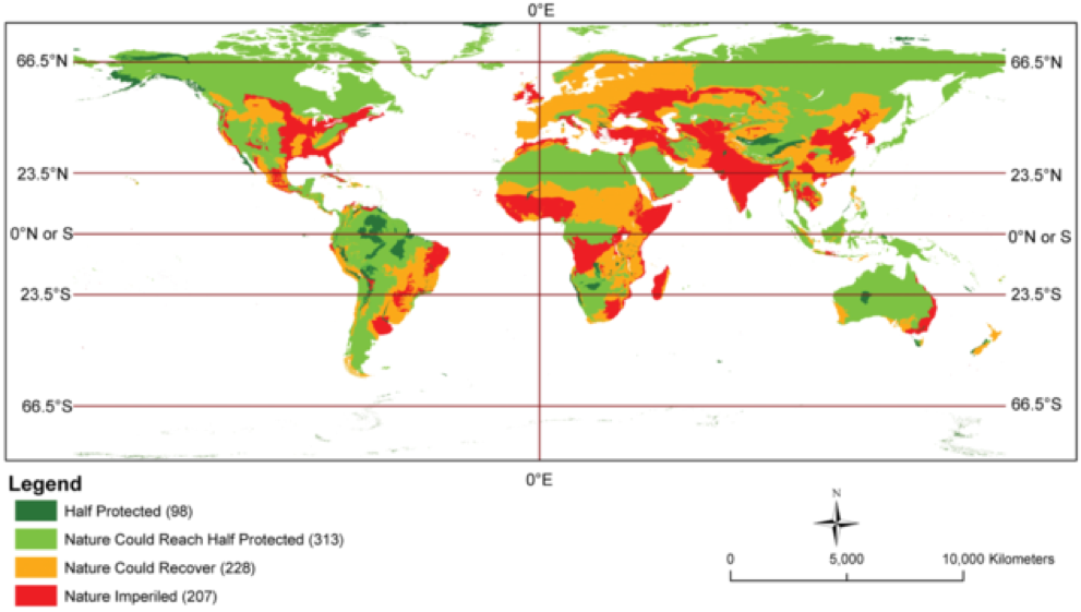 Figure 1. Map highlighting the ecoregions where half of intact landscapes are protects and those where such protection is possible