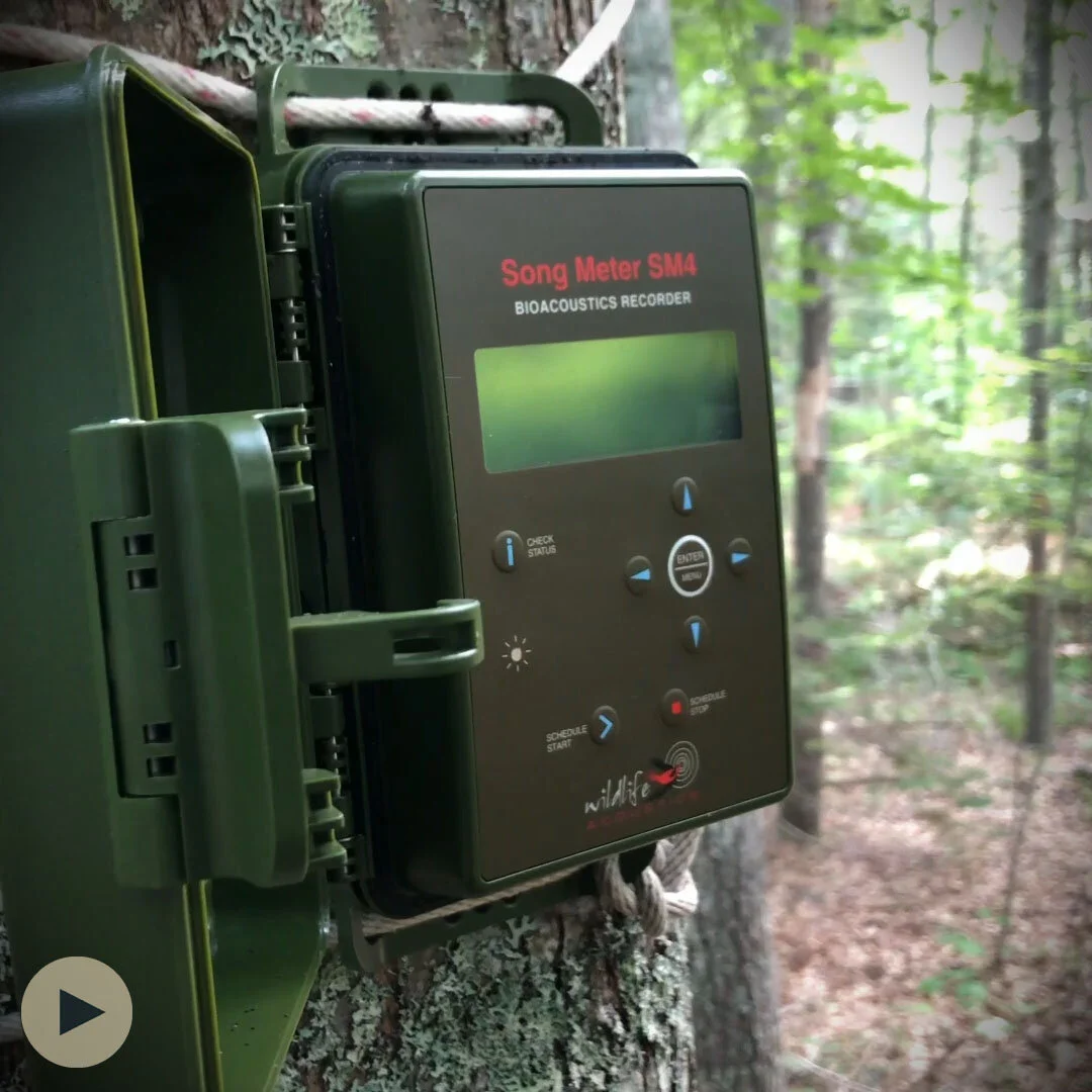 How we learn about birds and bird habitats in the Boreal Forest