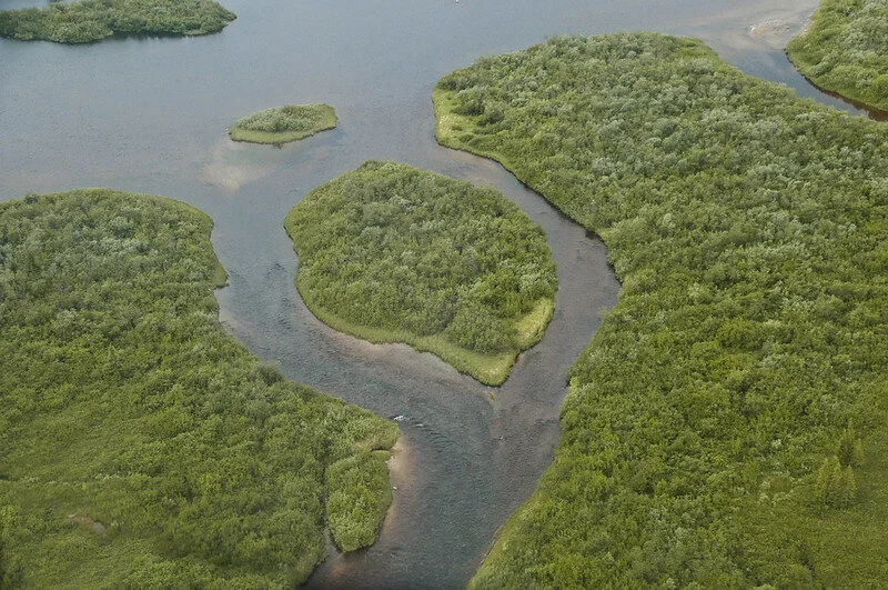 Hill Times: To Address Climate Change and Biodiversity Loss, Support Indigenous-led Conservation