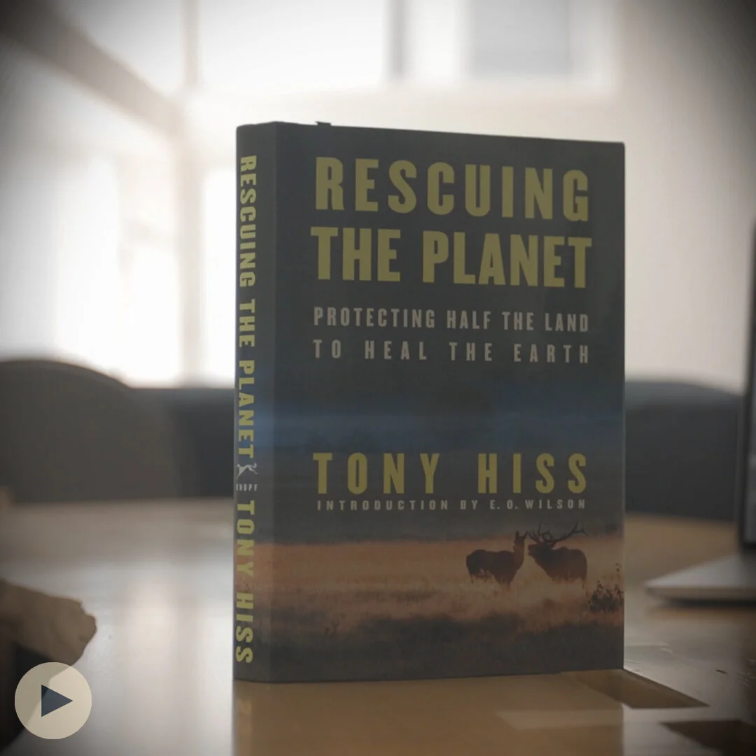 How the Boreal Forest Can Help Rescue the Planet