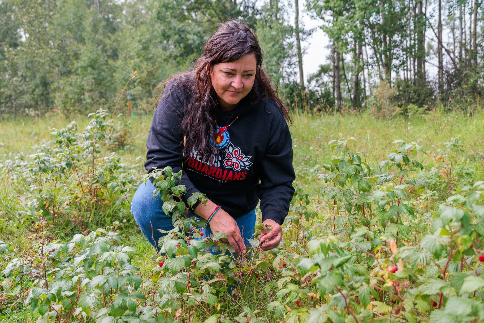The Role of Good Fire in Nourishing Boreal Berries
