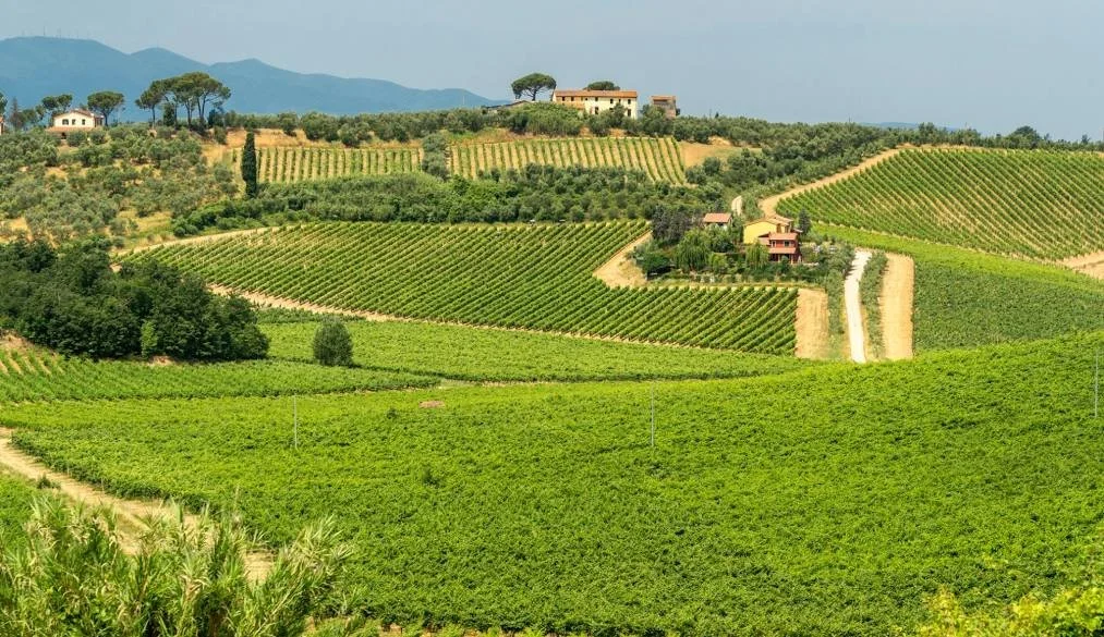 Tuscany 21.jpg