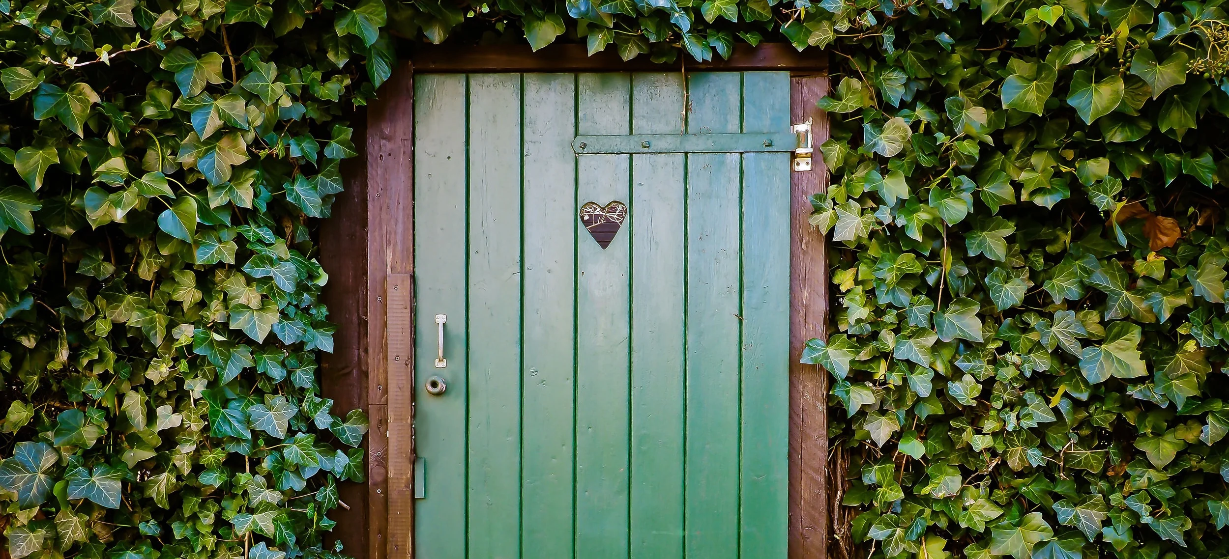 door_no_lock.jpg