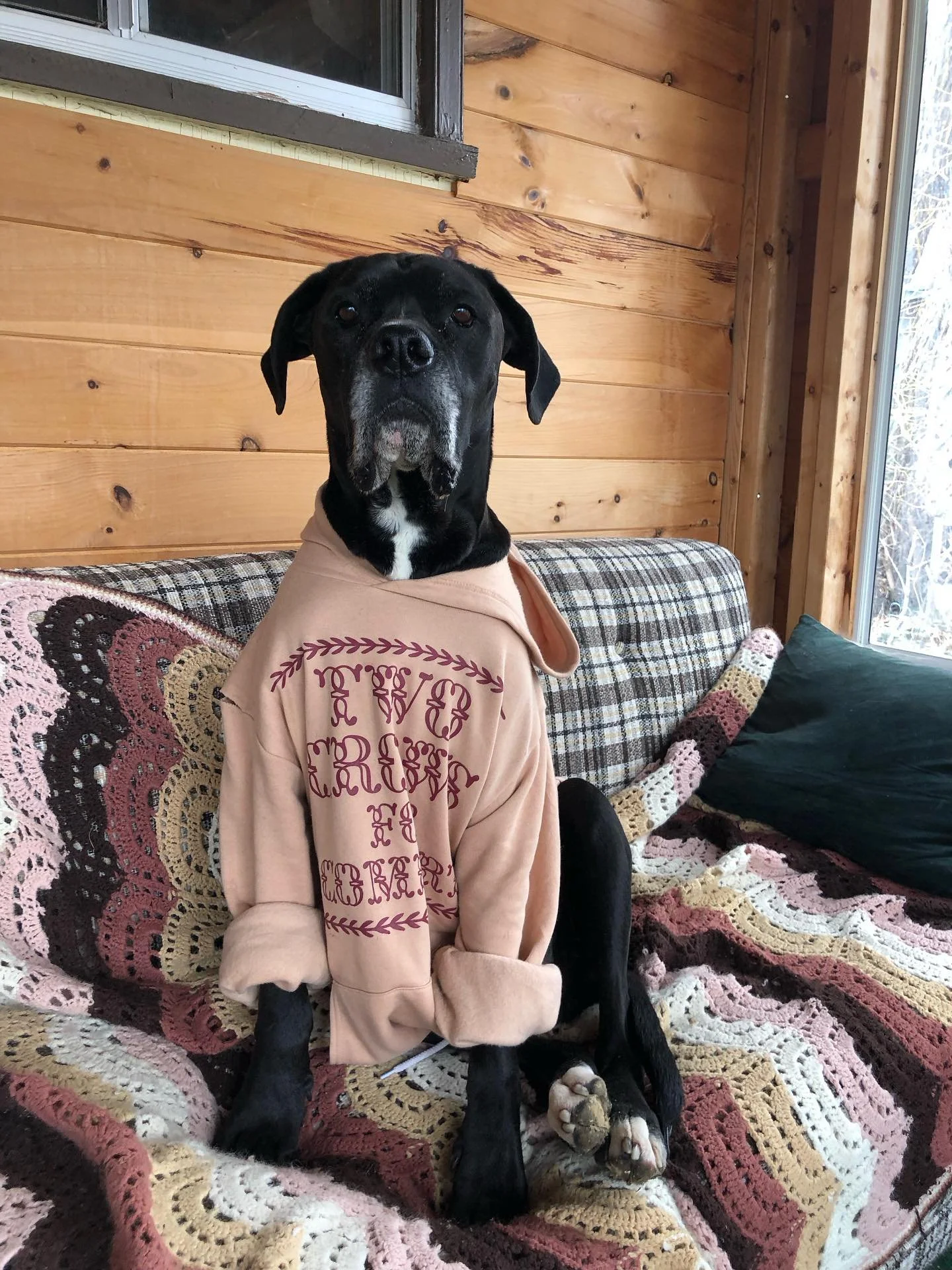 This old guy turns 8 today! Happy birthday Elliot 🥳