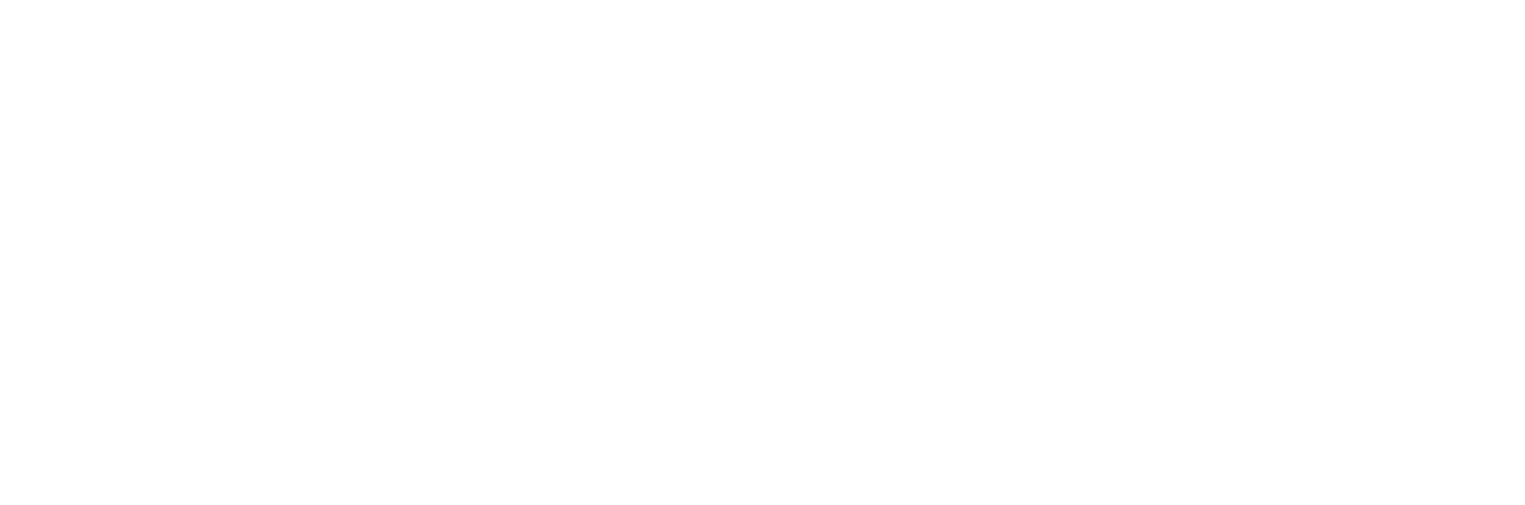 Asset 4.png