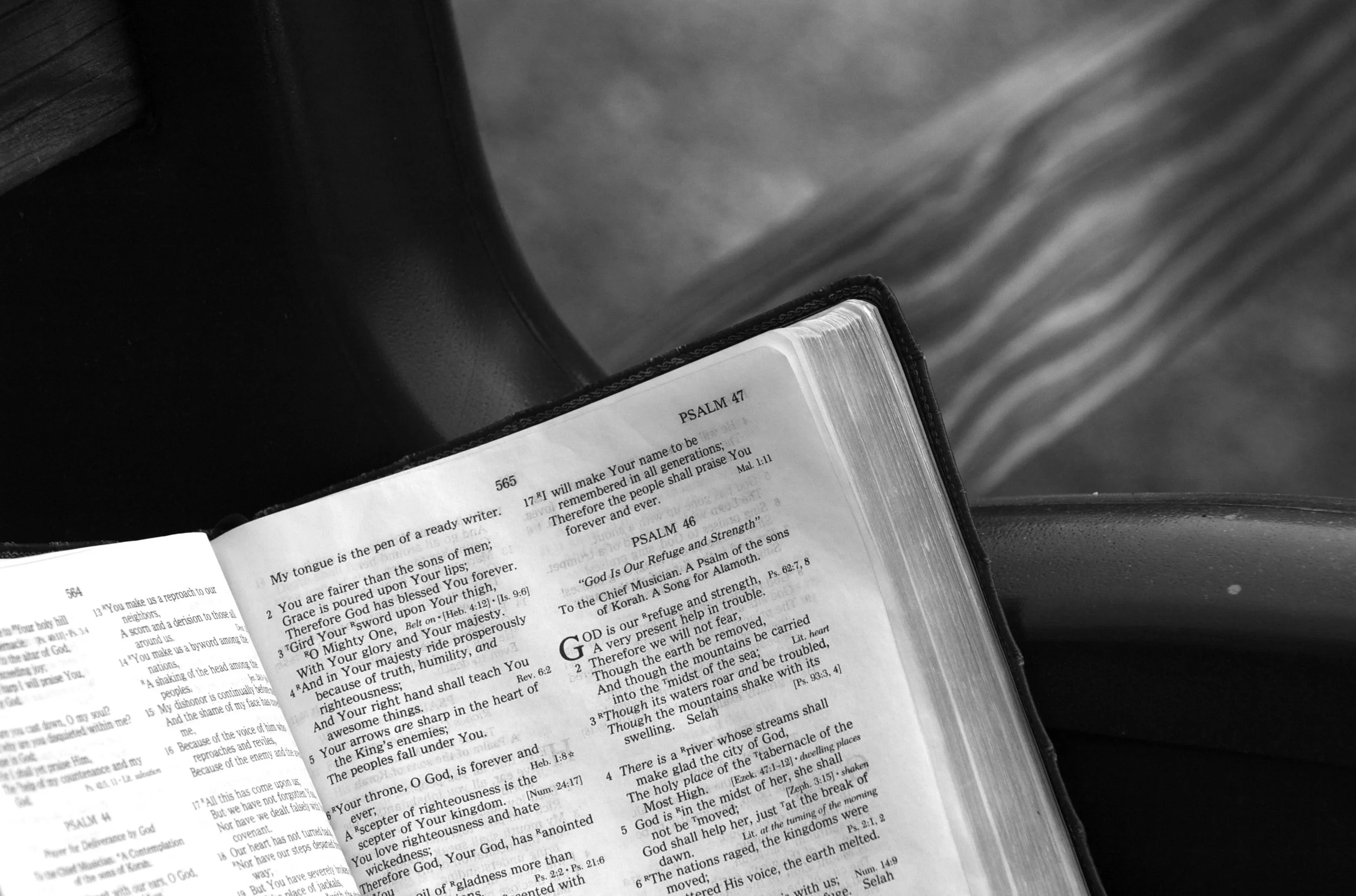 2883_bible.jpeg