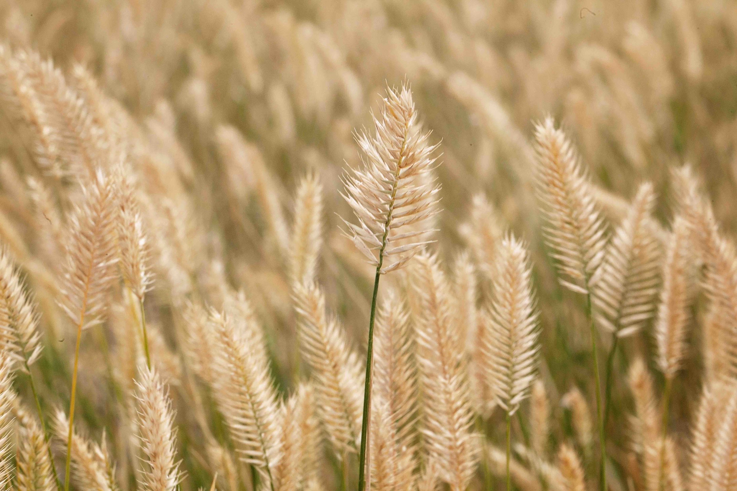 Learning To Embrace Jesus More Deeply