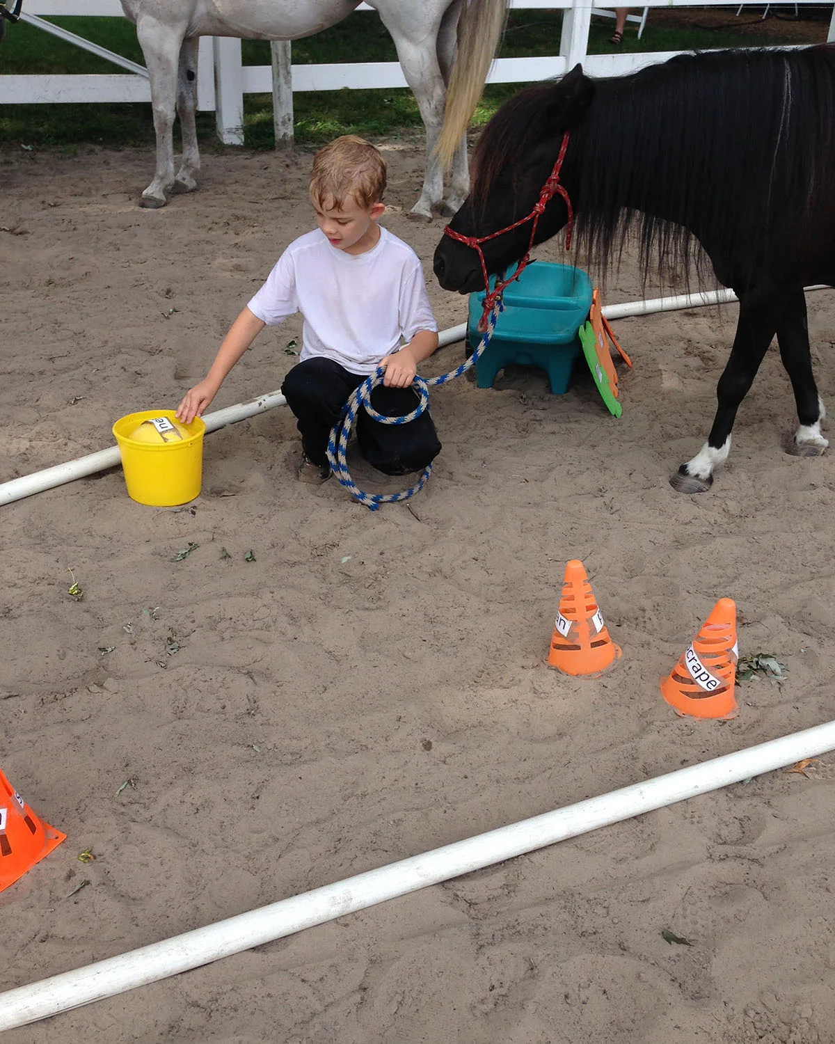yellow-bucket-boy-pony-reading-river.jpg