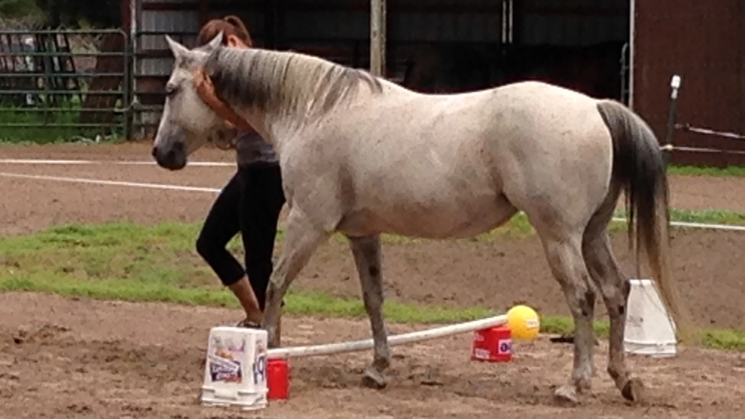 teacher-leading-horse-online-class.jpg