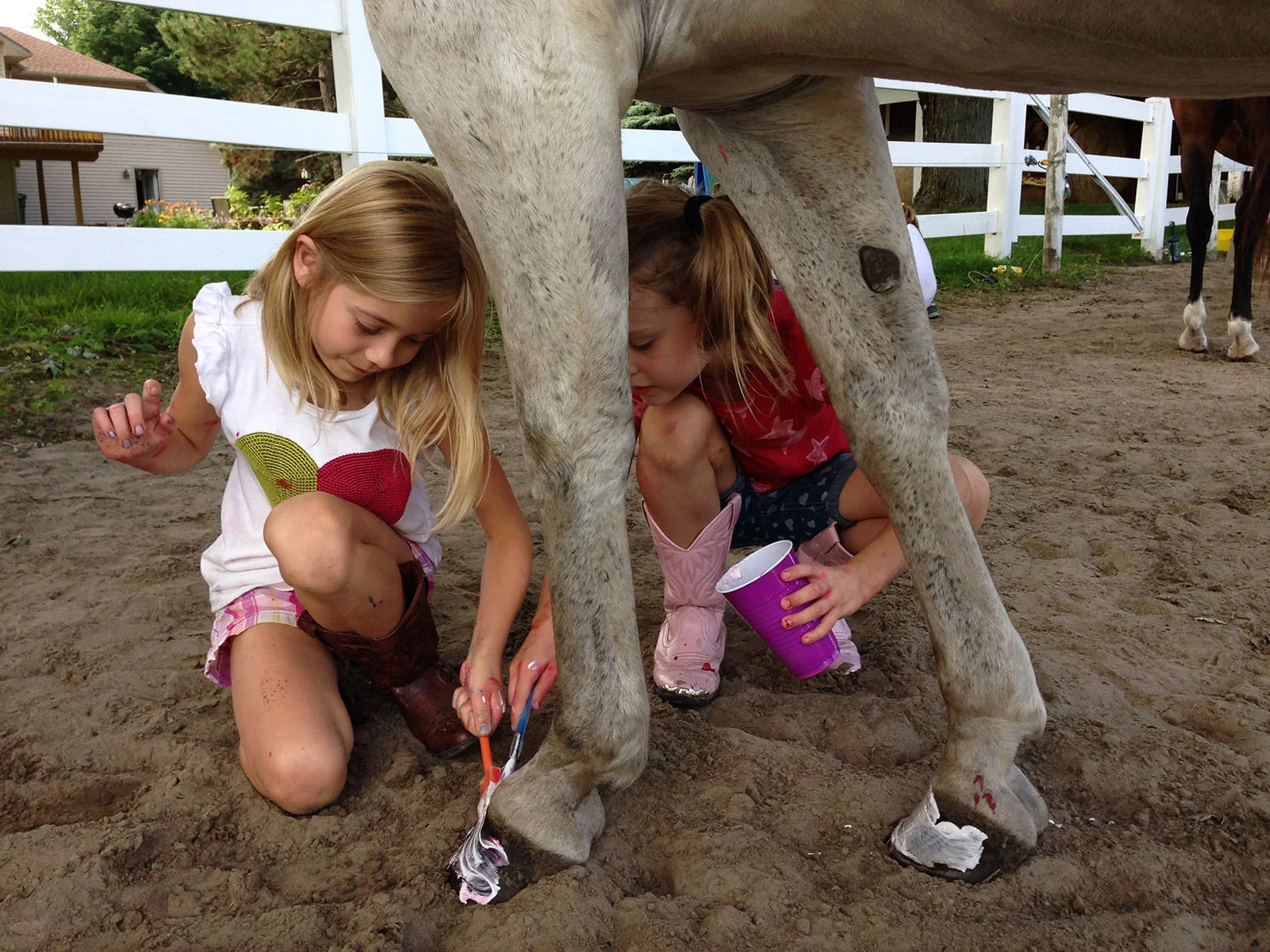 hoof.pedicure.jpg