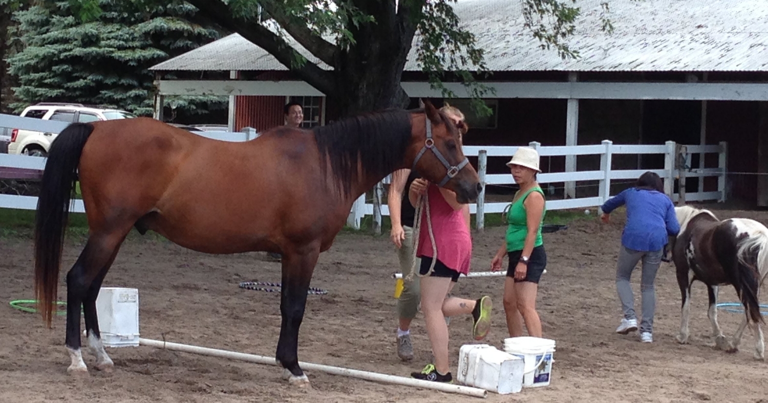 horse-powered-reading-facilitator-training.jpeg